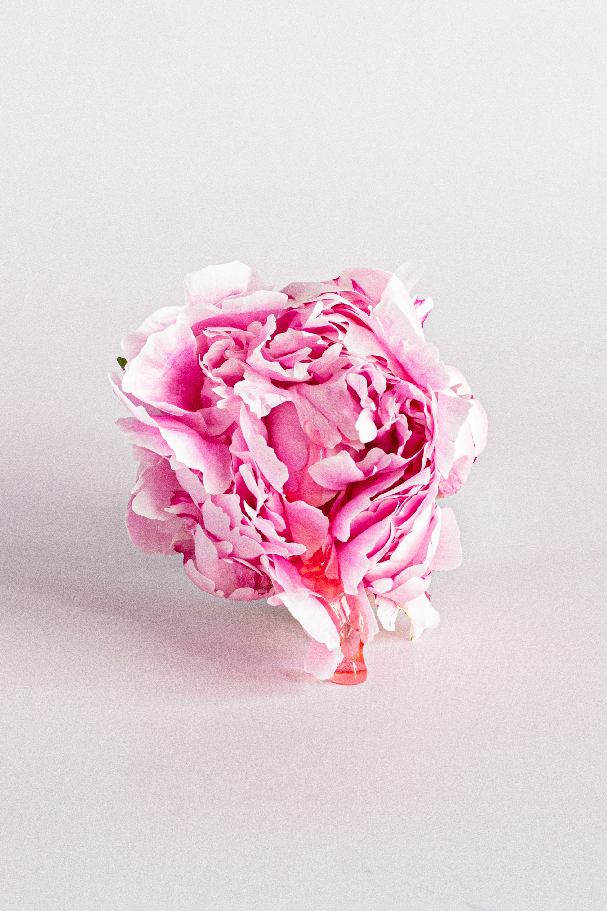 Для сексолога