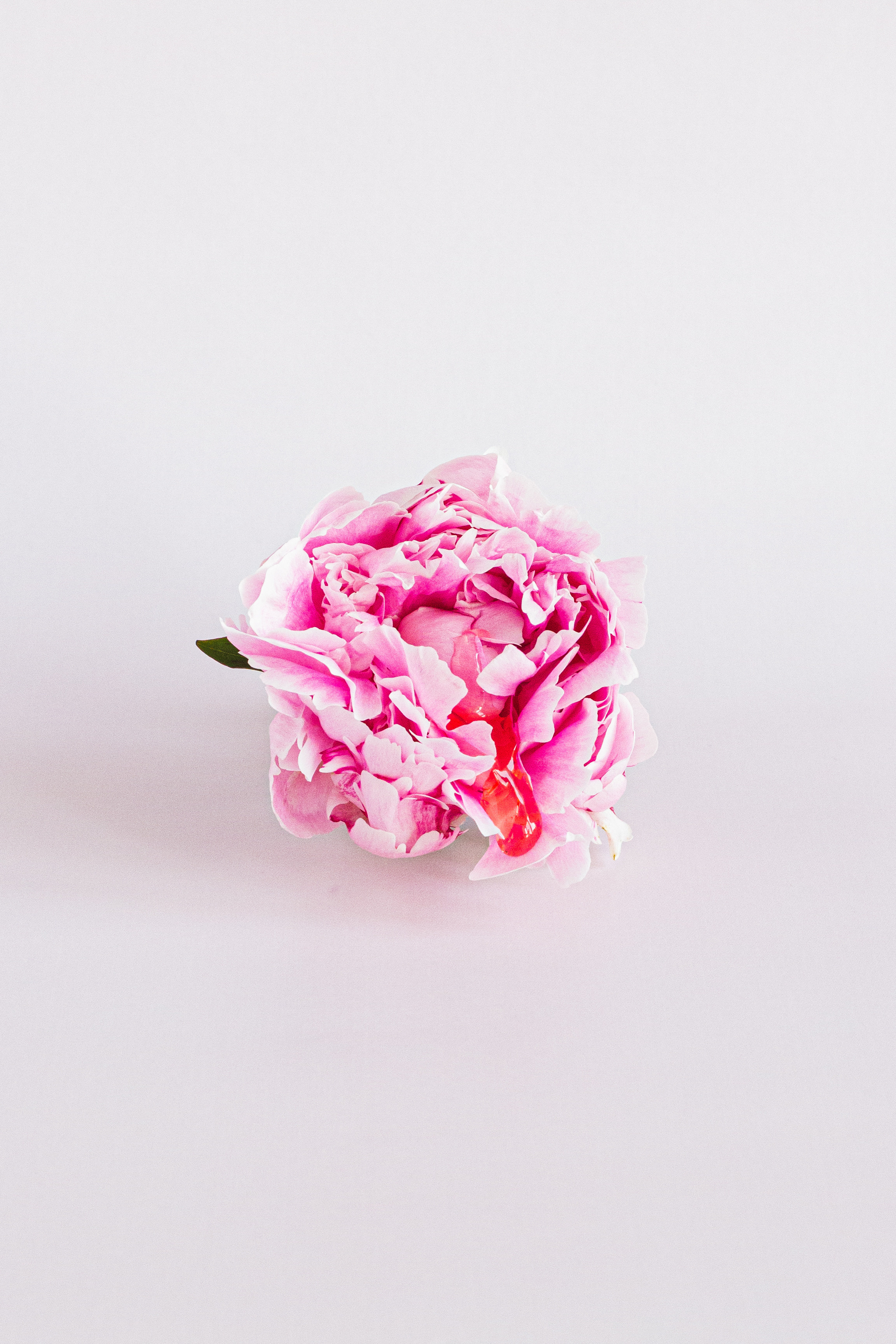 Для сексолога