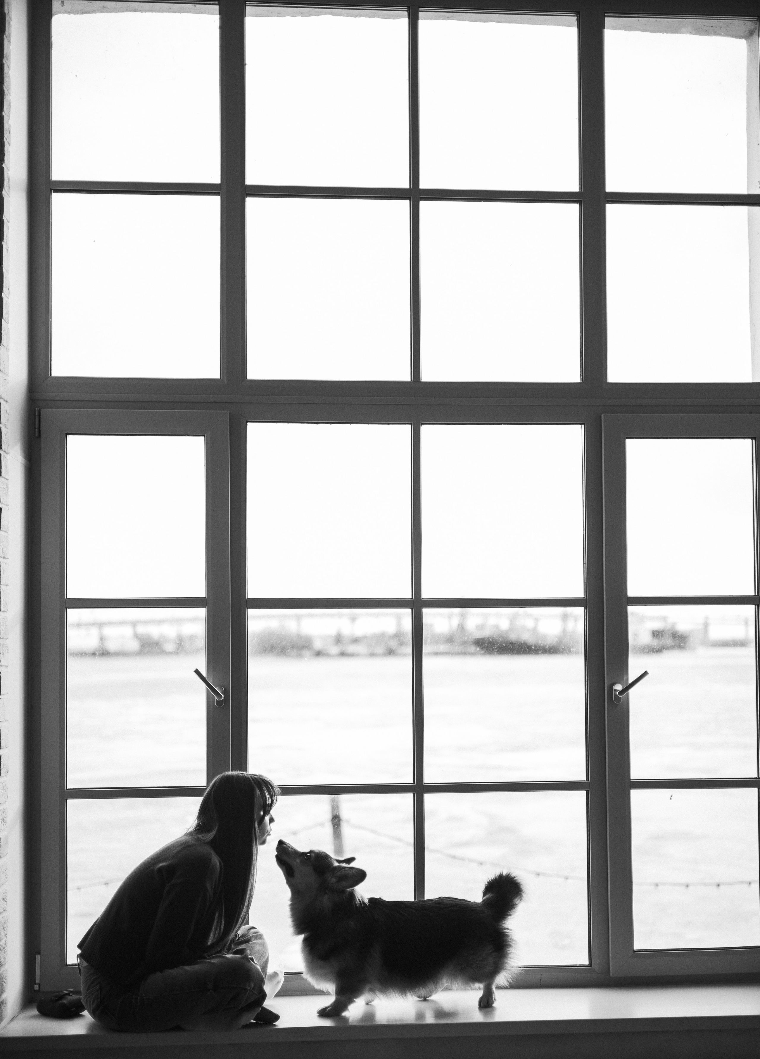 Фотограф животных Евгения Верцинская