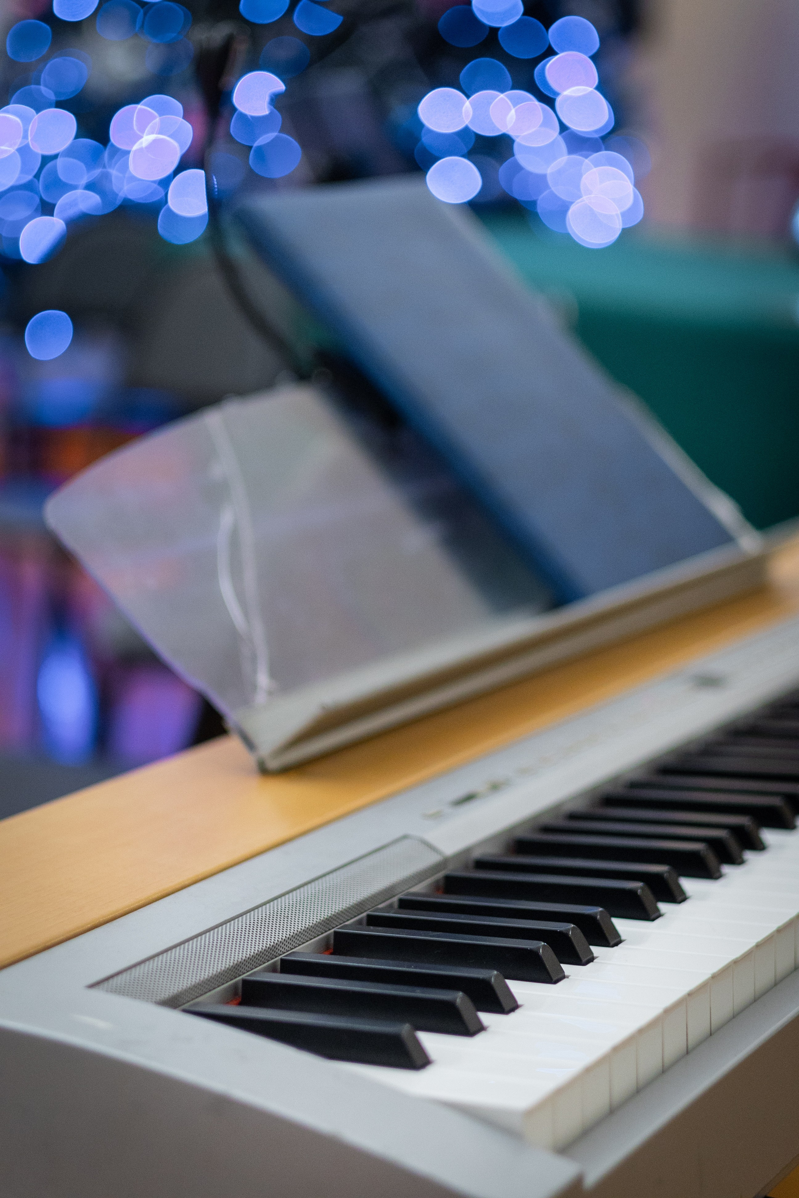 Новогодний бал в музее А. П. Чехова. Фотограф Наталья Матвеева