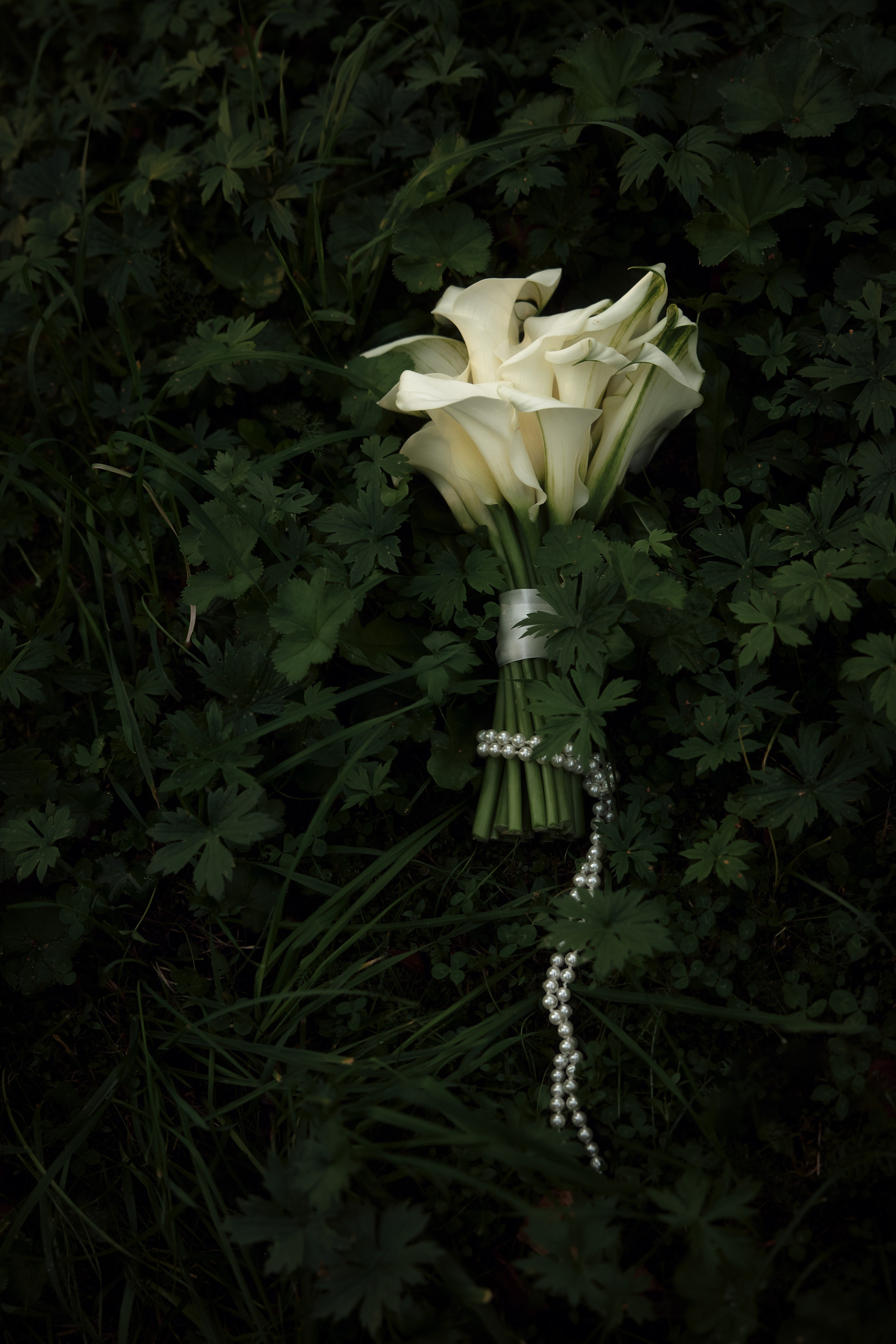 Максим и Анастасия. Свадебный фотограф Светлана Кривчикова