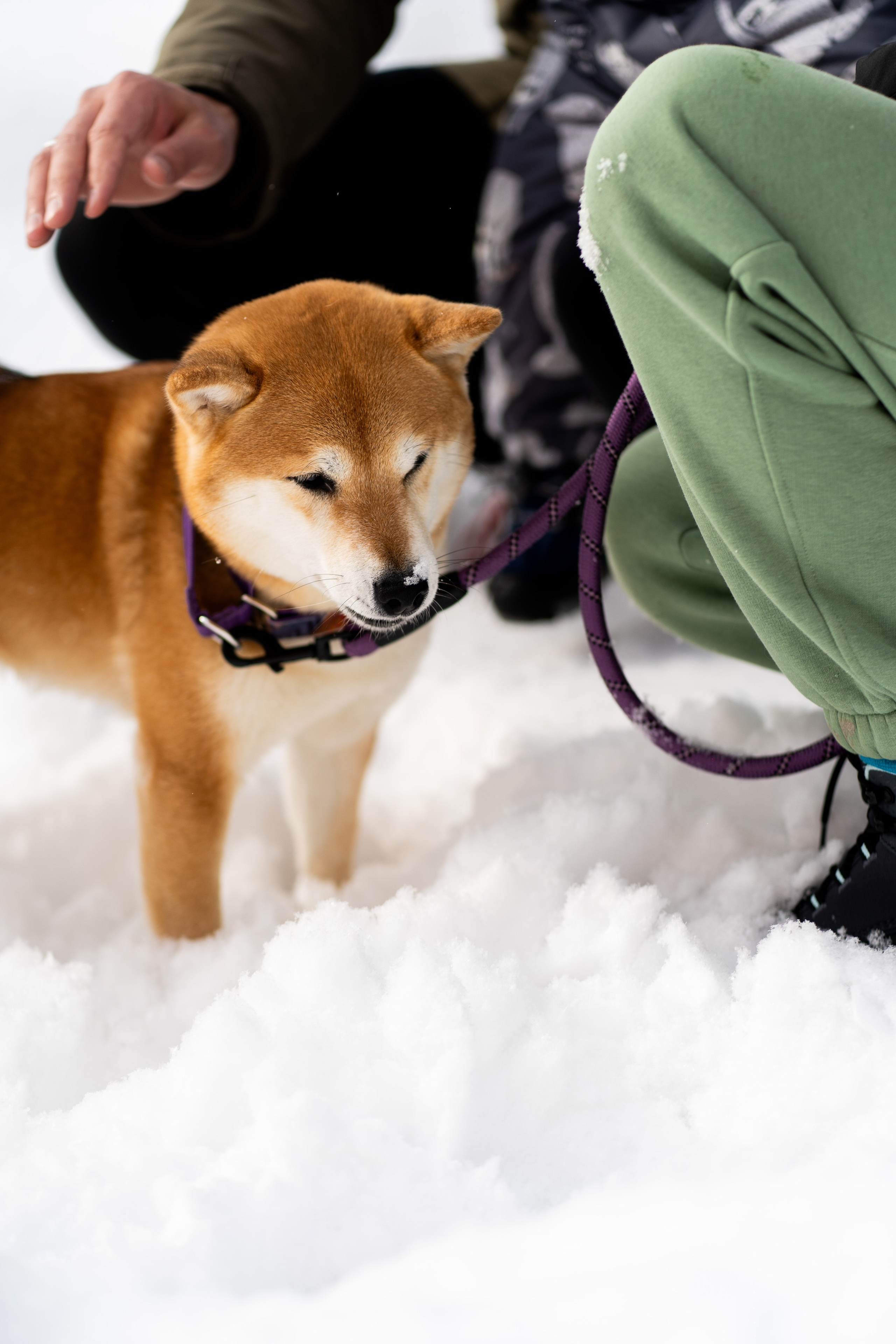 Соня&Лёня. Анастасия Паршукова — фотограф Шерегеш Новосибирск