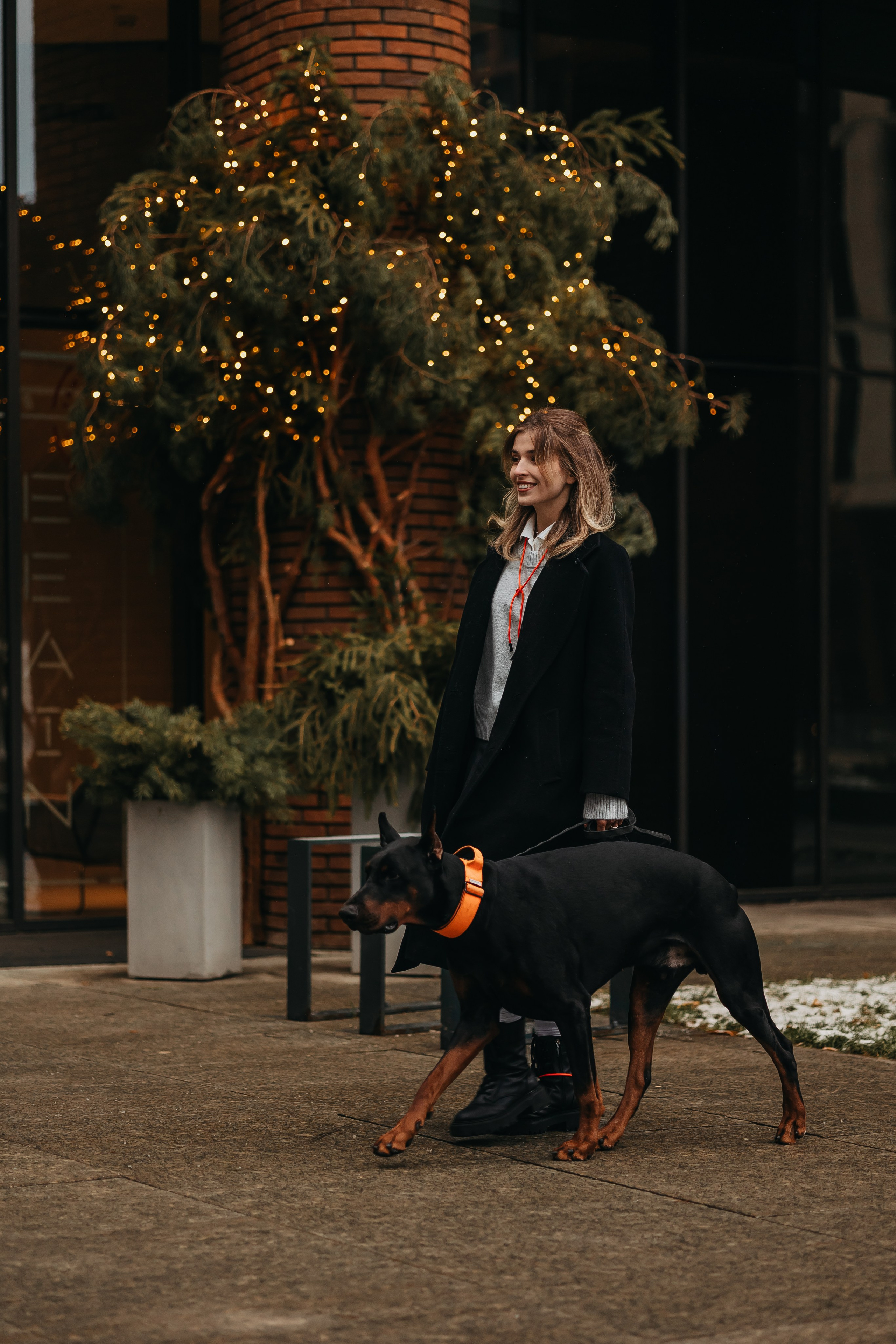 Дари и Гранд. Фотограф-анималист в Санкт-Петербурге Алина Яхонт