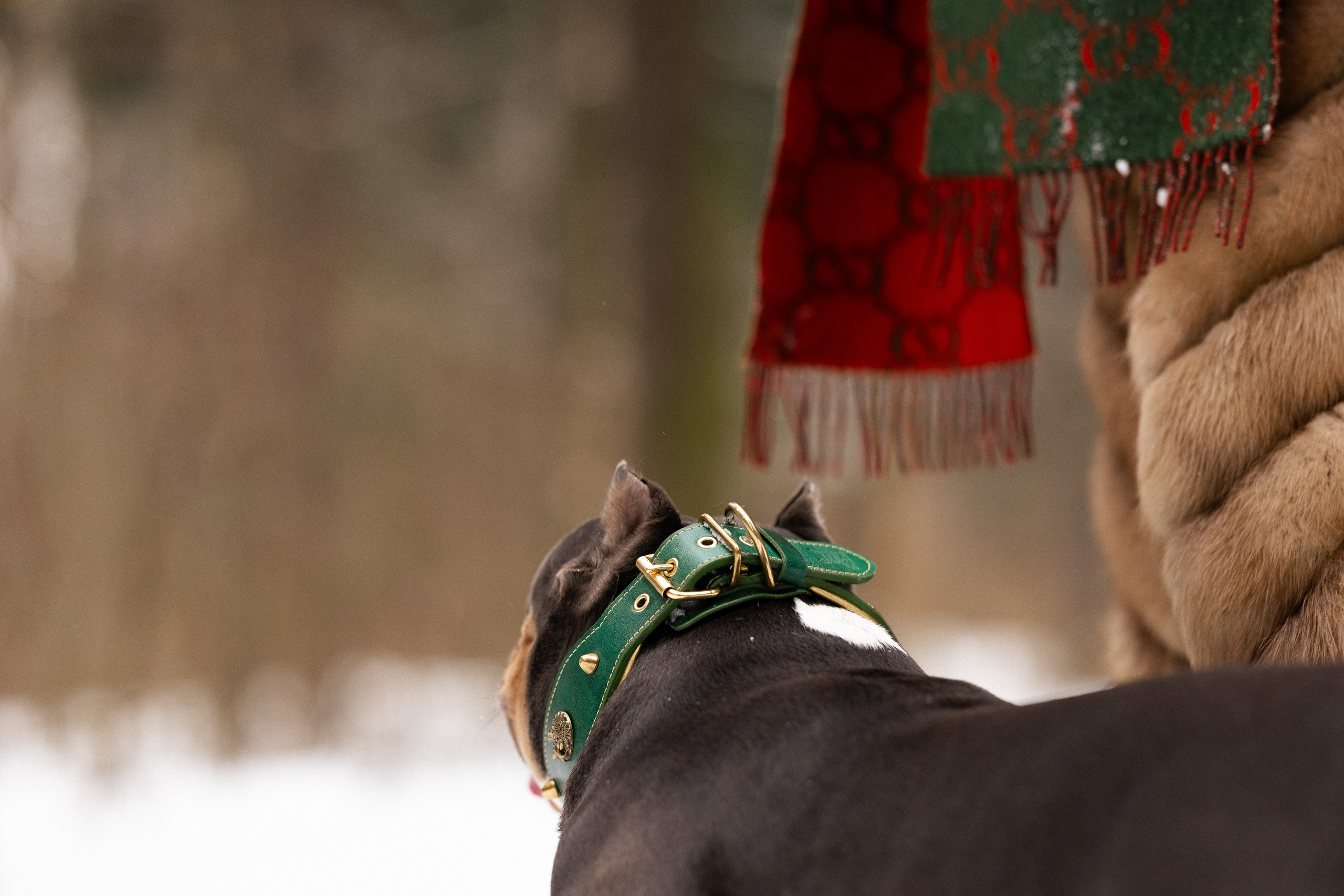 Лера и Наган. Фотограф и видеограф анималист Аганина Дарья