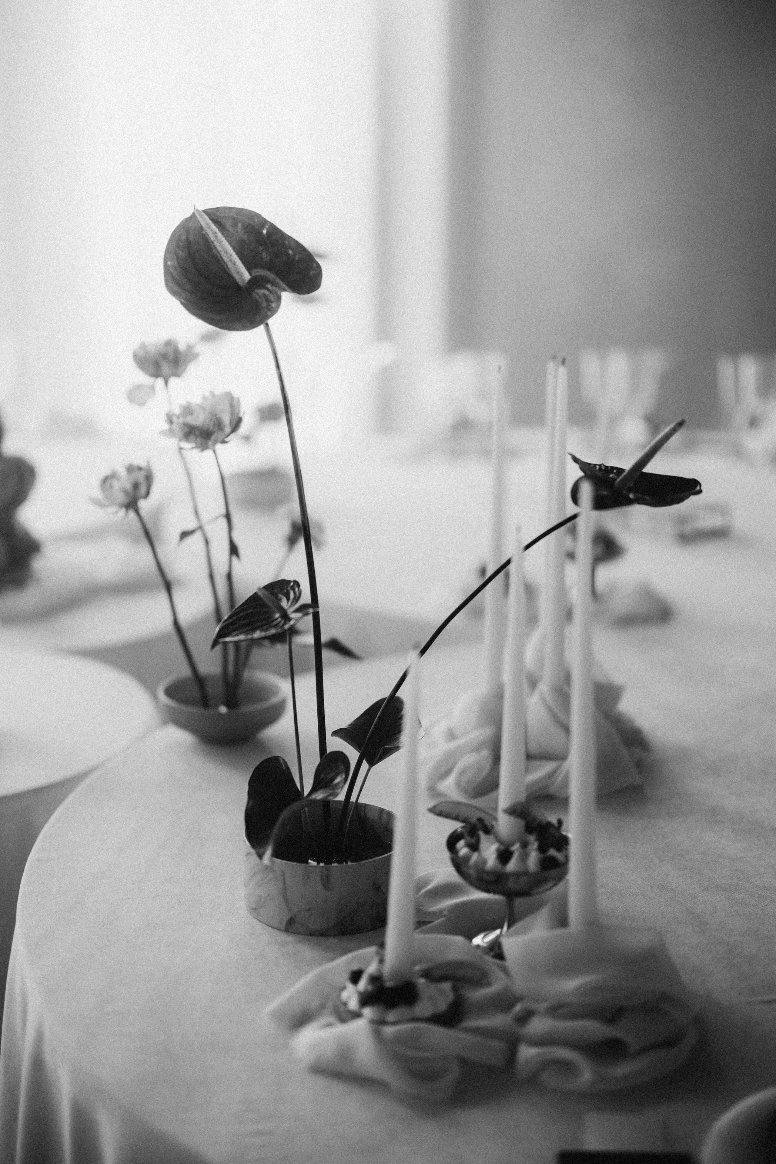 Вот это да, у меня теперь есть жена…. Daria Chigintseva Photographer