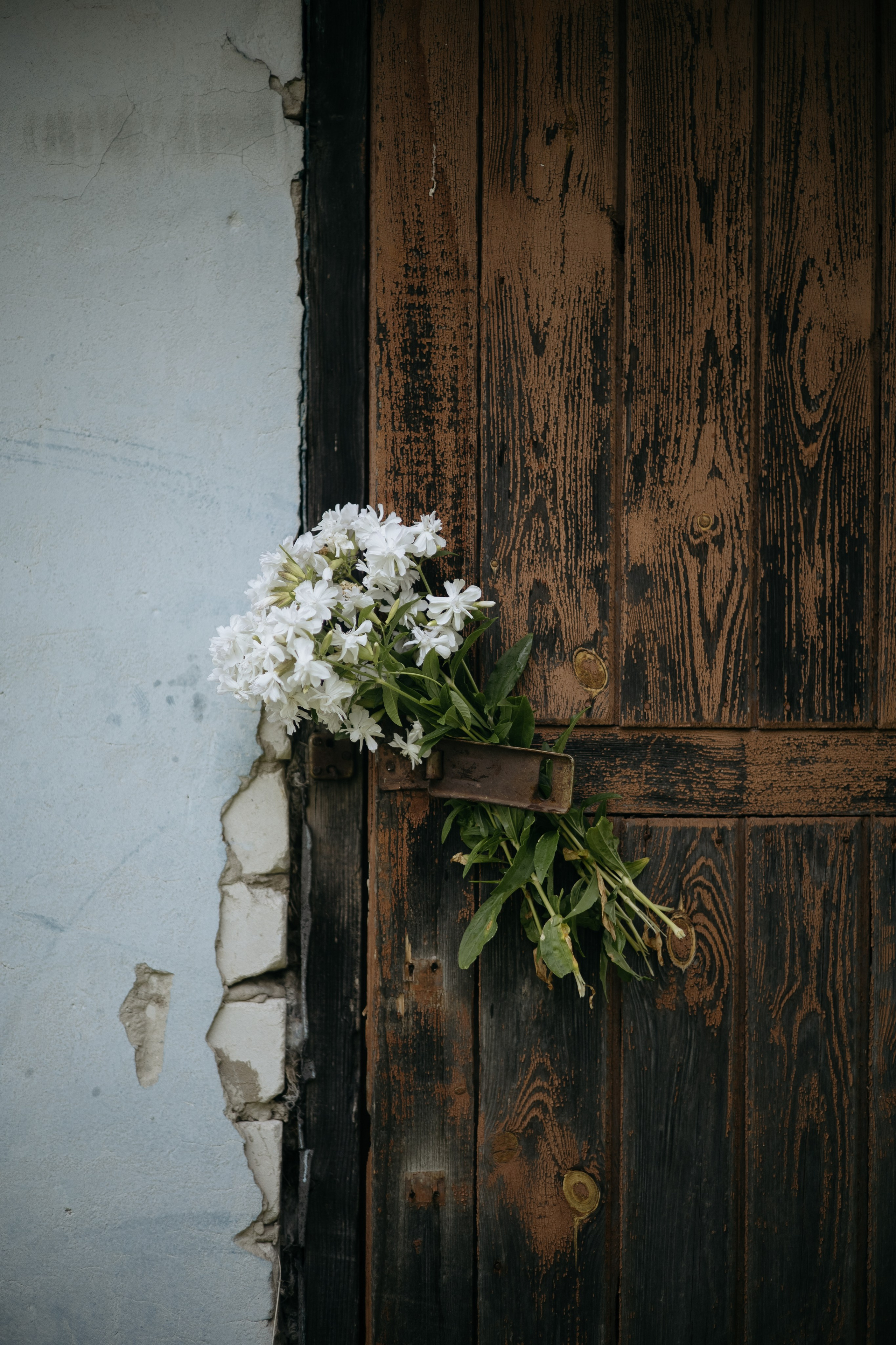 АНАСТАСИЯ. Фотограф Элла Ефимова