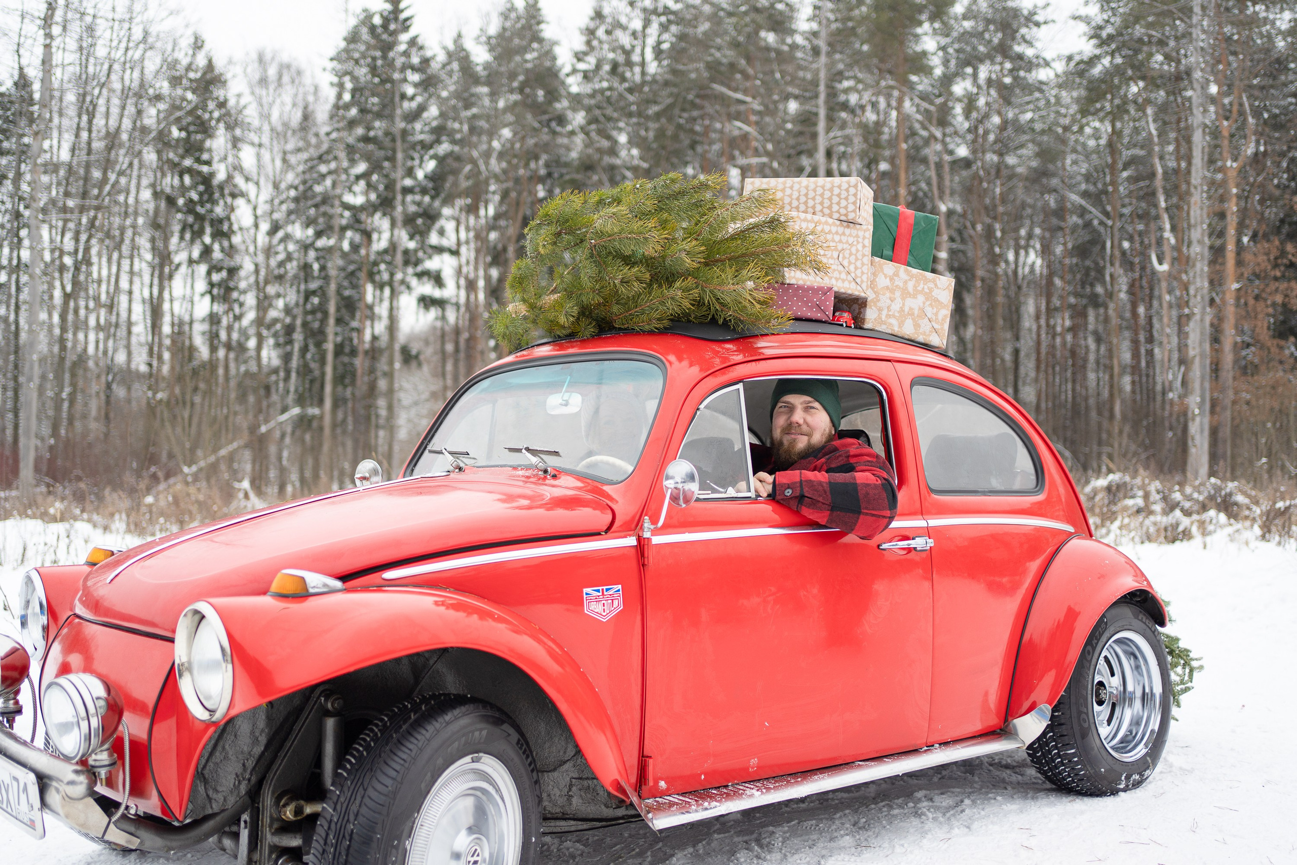 Love in red. Главная