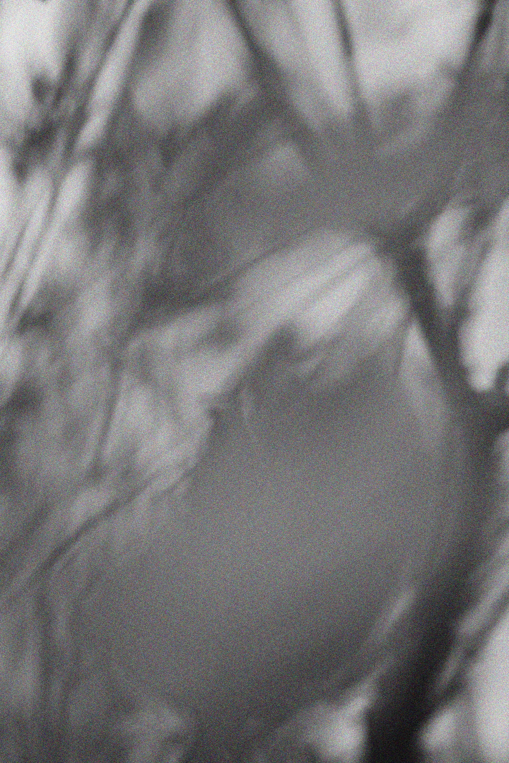 Эстетика П р о Я в л е н и я. Виноградова Маргарита. Фотограф P r o Явления