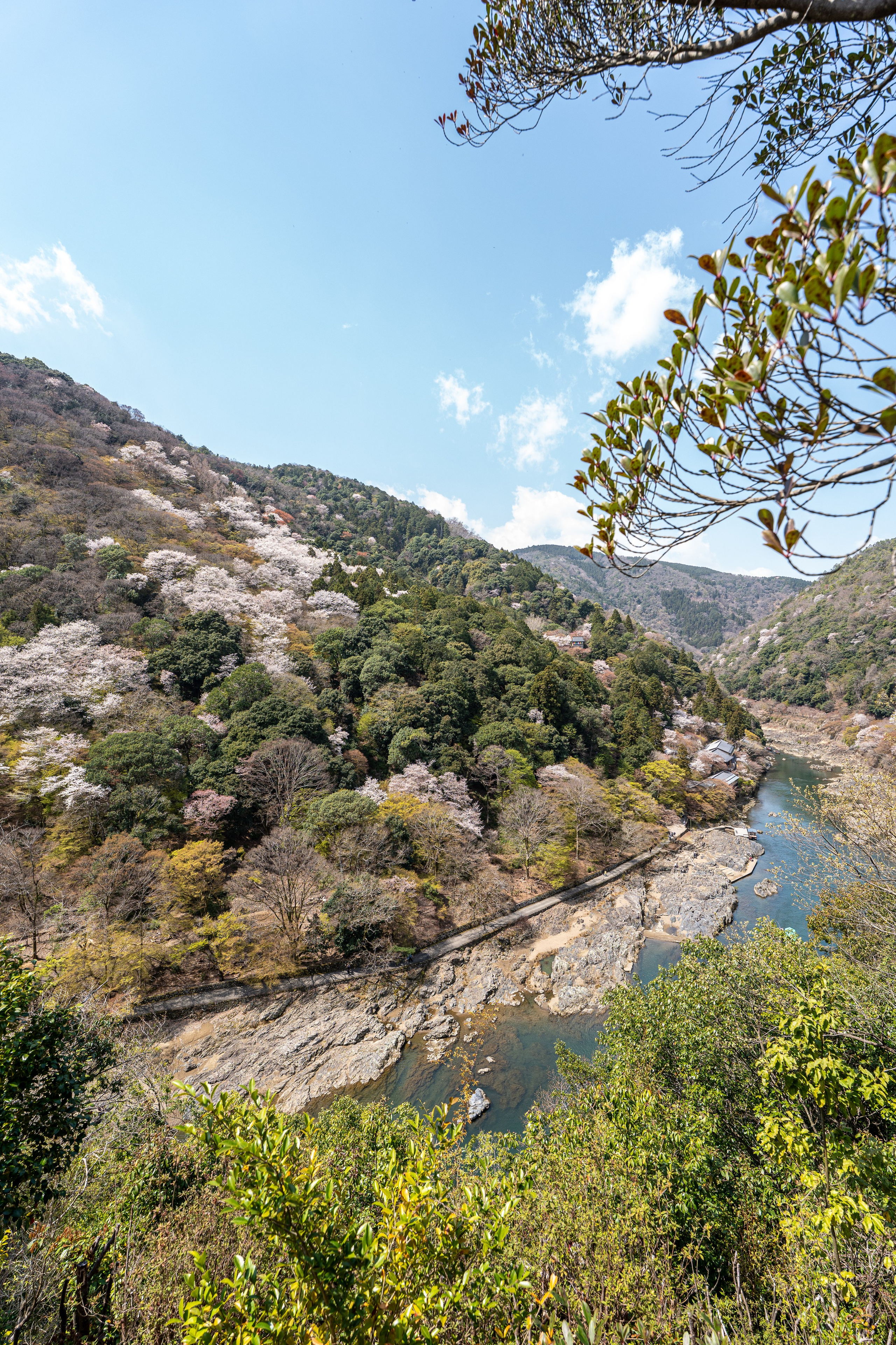 Япония, сакура. Творческие сьемки