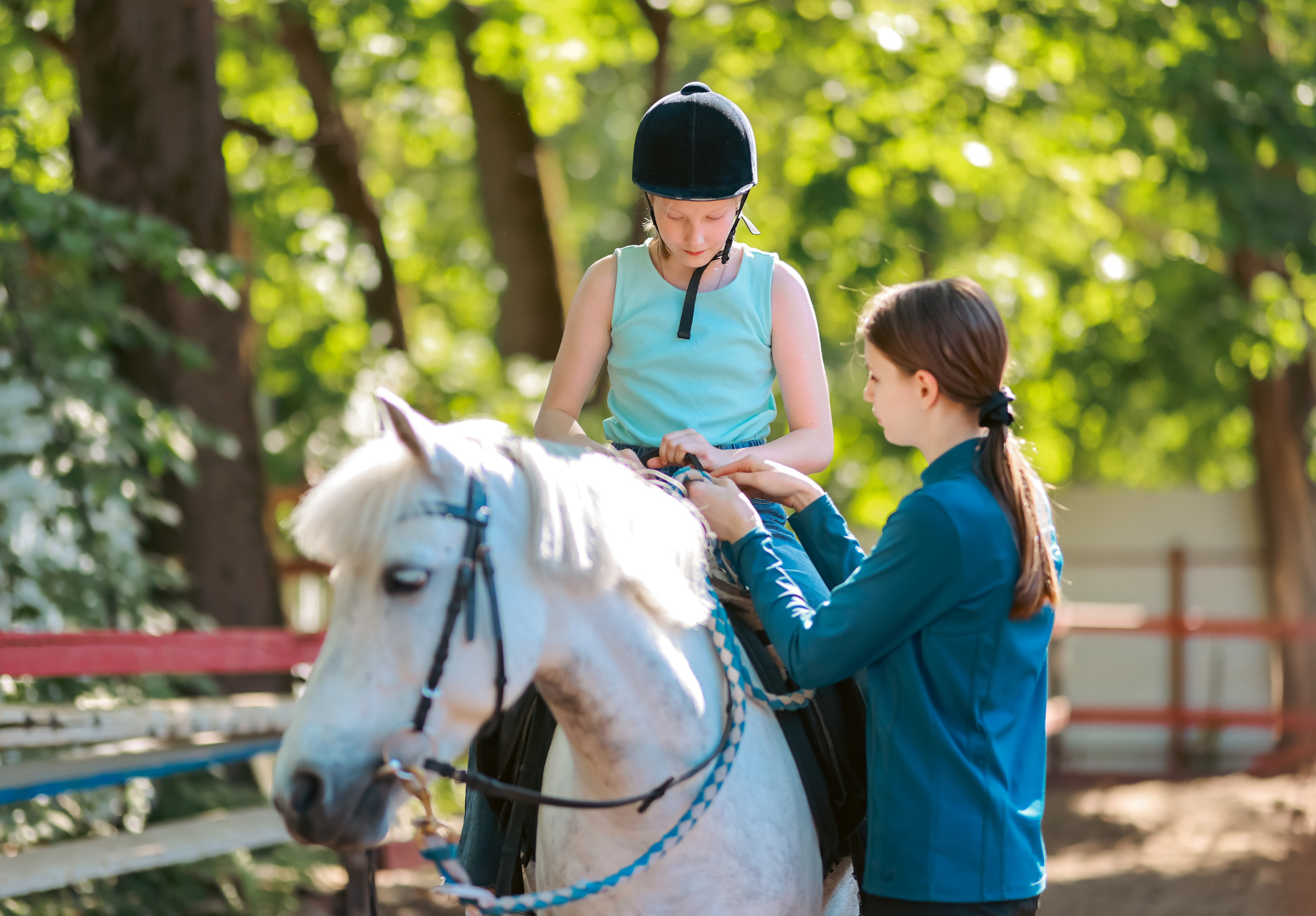 Корпоратив на конюшне. Фотограф репортажей и стритфотосессий в Москве Людмила Смирнова