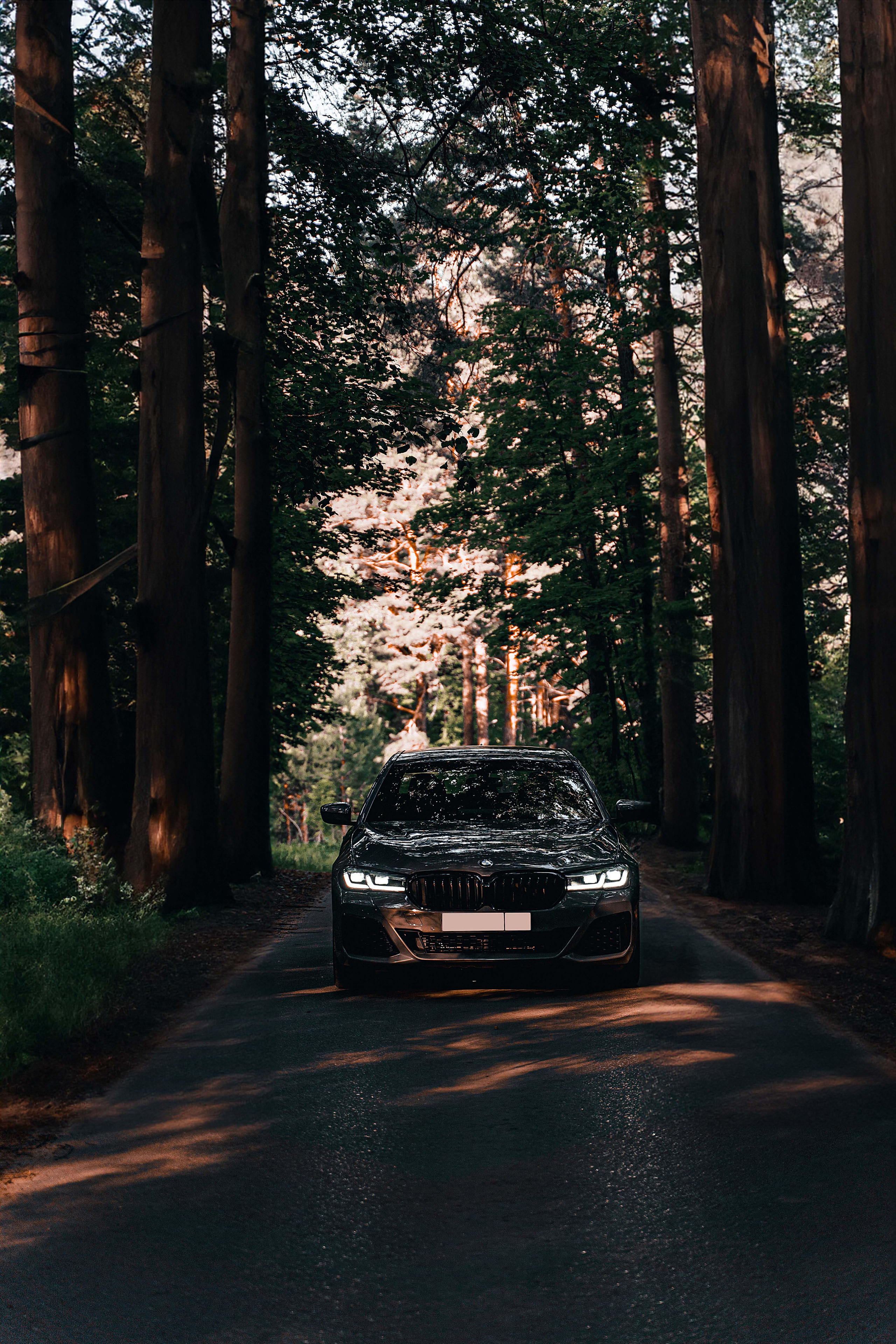 BMW 520 d. Фотограф Казань