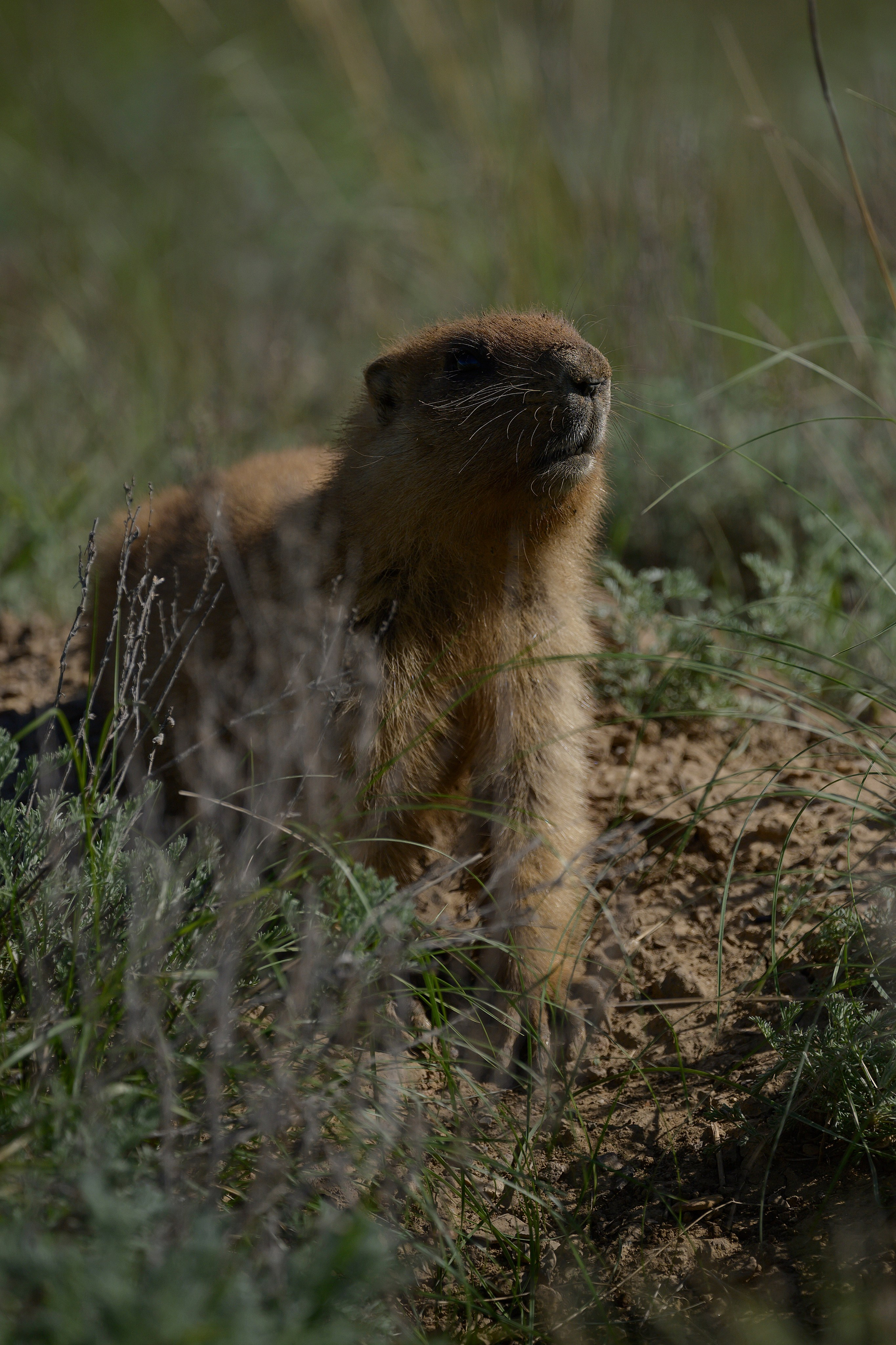 Оренбуржье. Портретный фотограф в Челябинске Катерина Руди