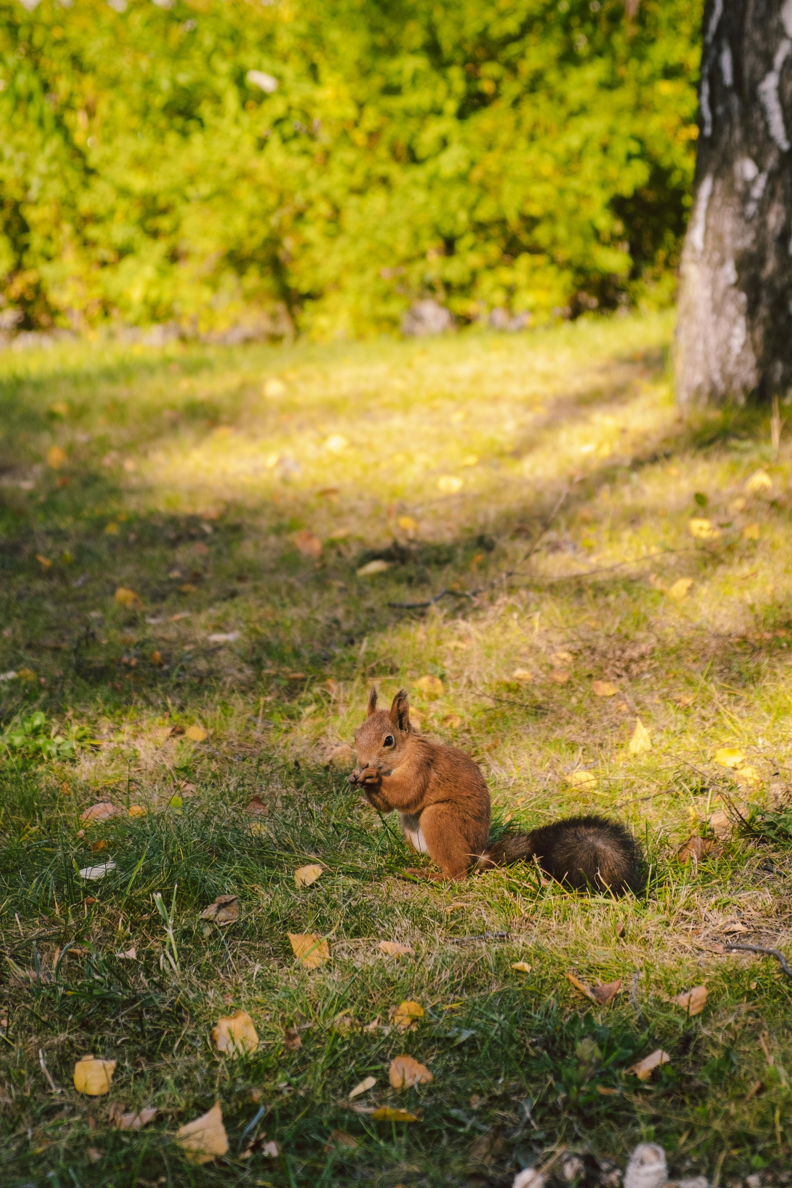 Замечательная повседневность. Контент-фотограф и видеограф в Перми