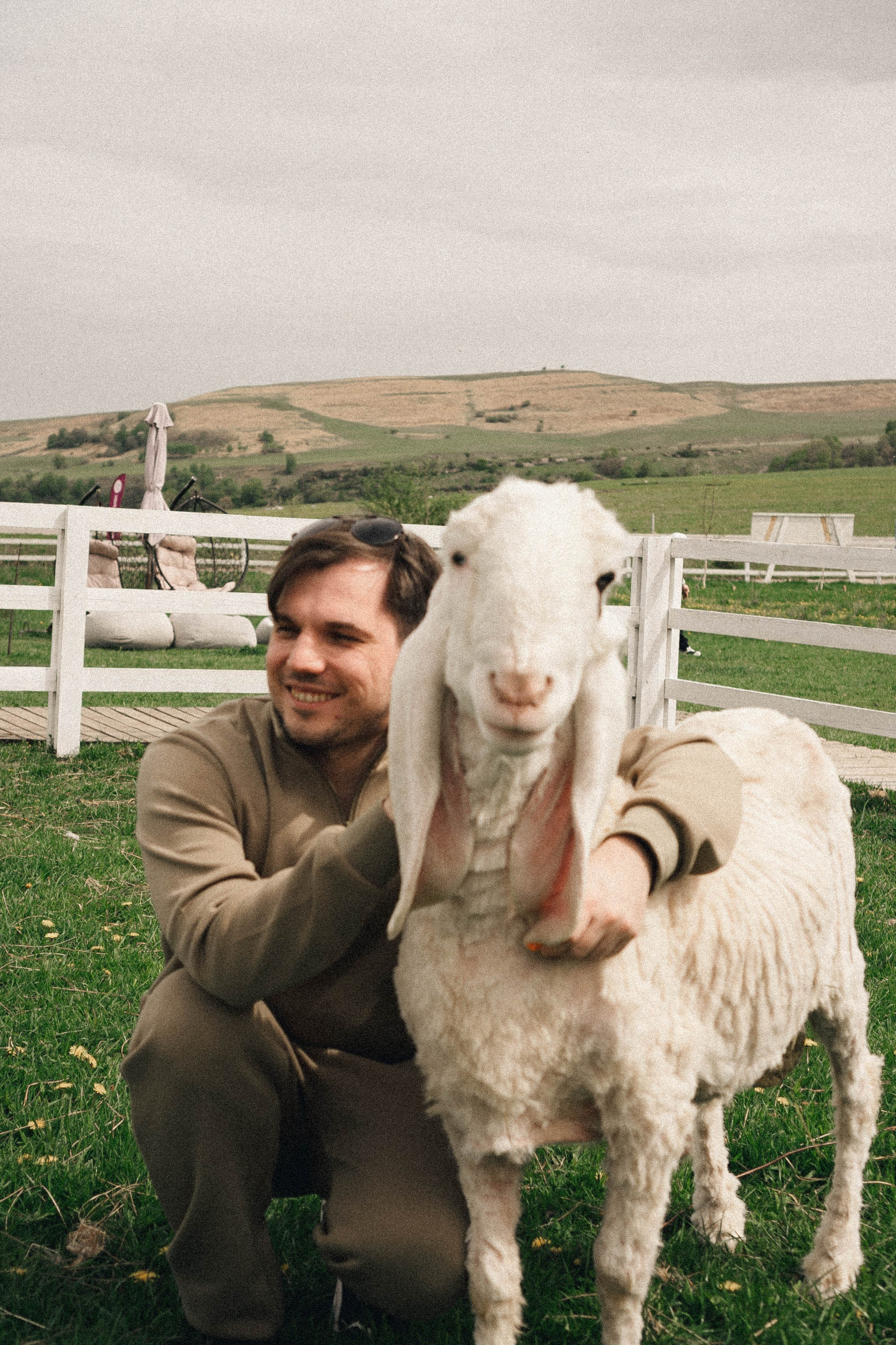 Ферма Альпак. Профессиональный фотограф, Санкт-Петербург — Виктория Богомолова