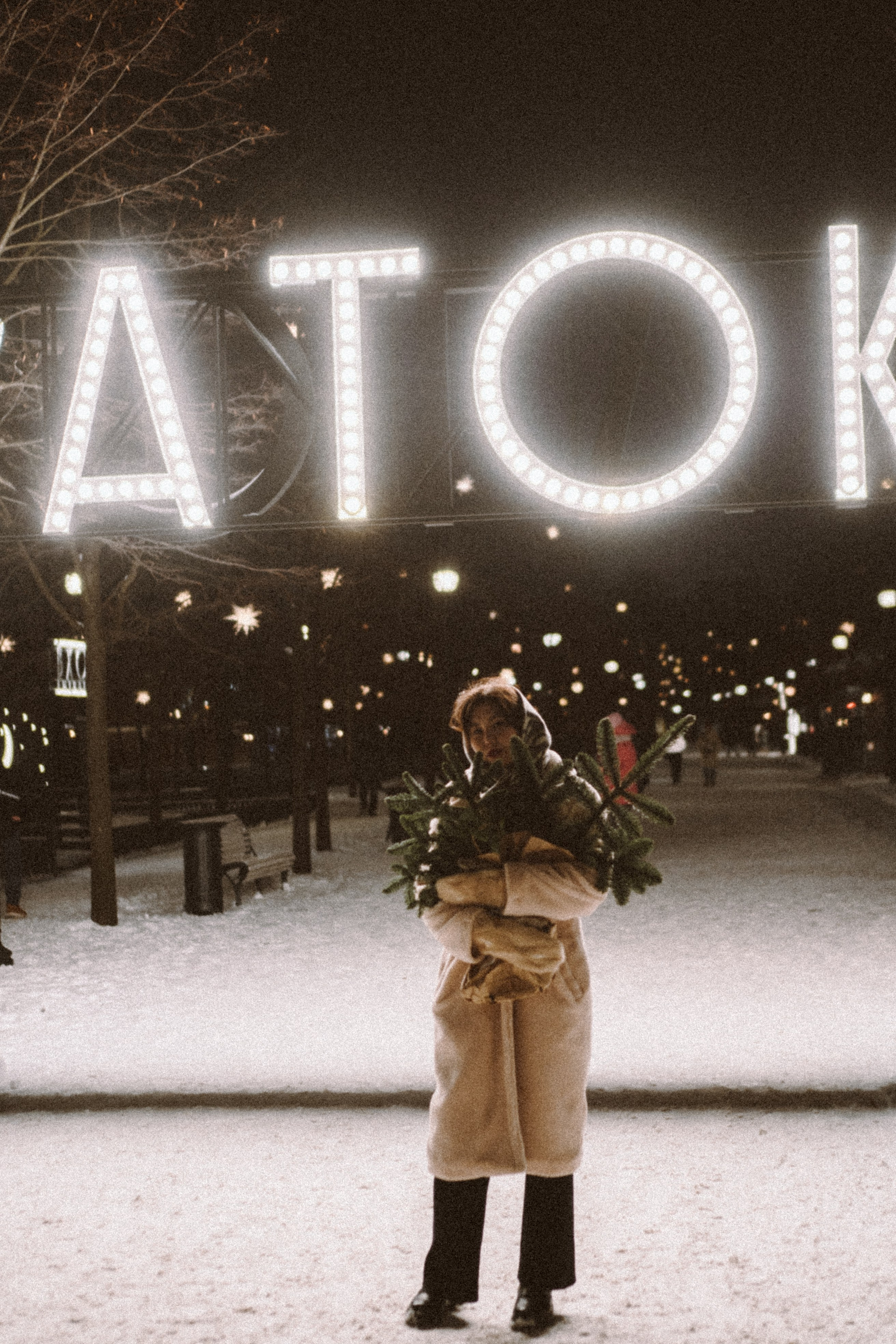 Зимняя сказка в Новой Голандии. Профессиональный фотограф, Санкт-Петербург — Виктория Богомолова