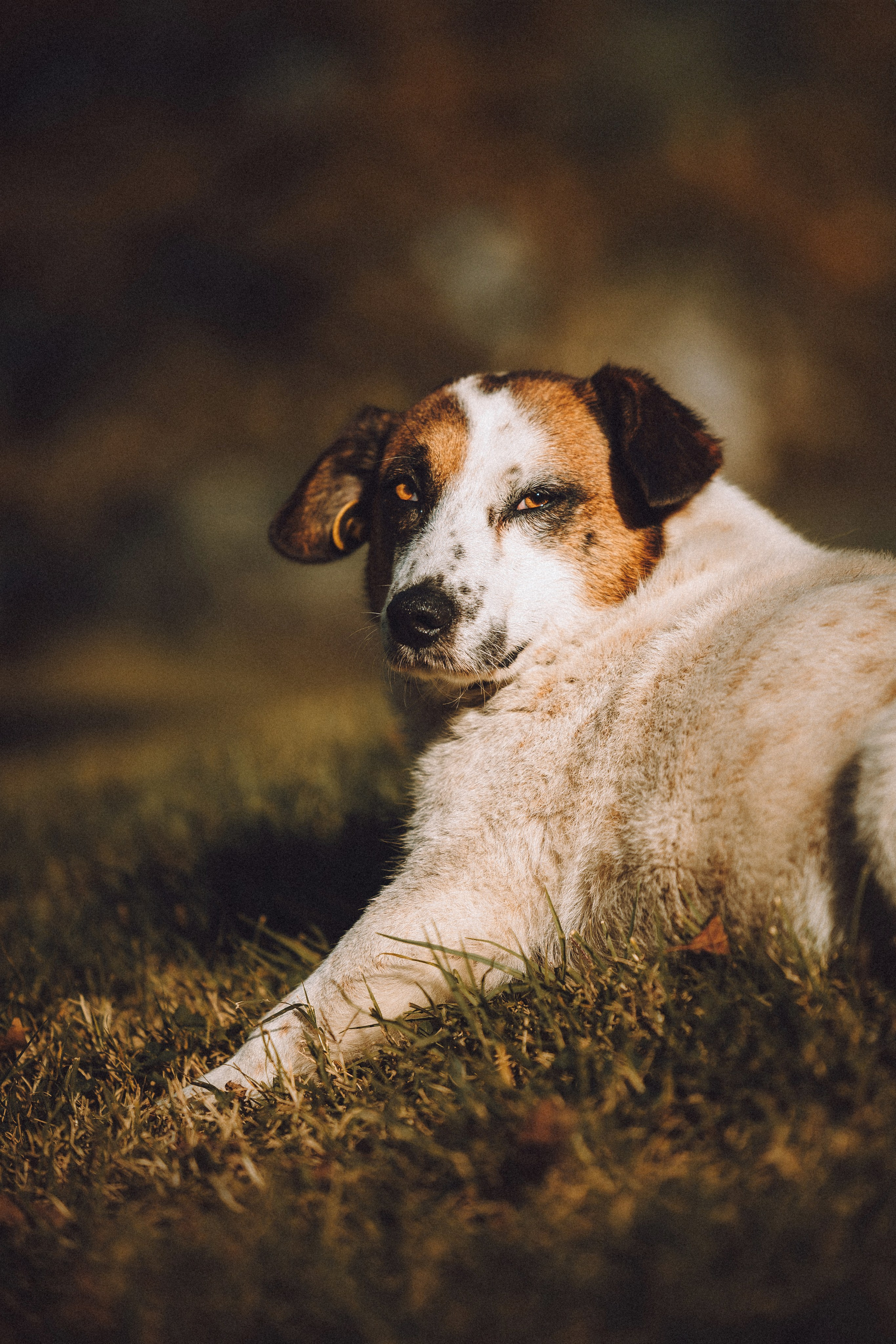 Саша, Рома и Один