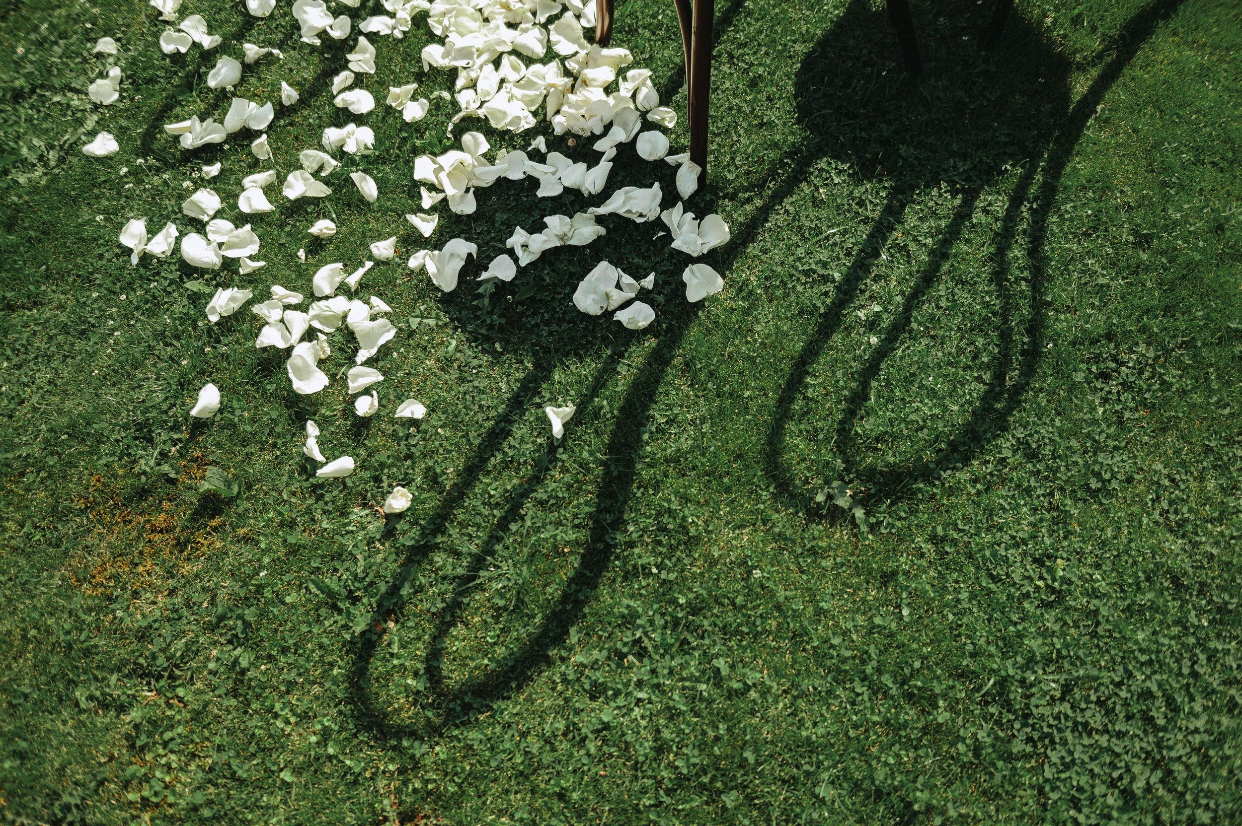 Саша и Лиза «Любовь в большом городе». Свадебный организатор и координатор Карина Стешенко