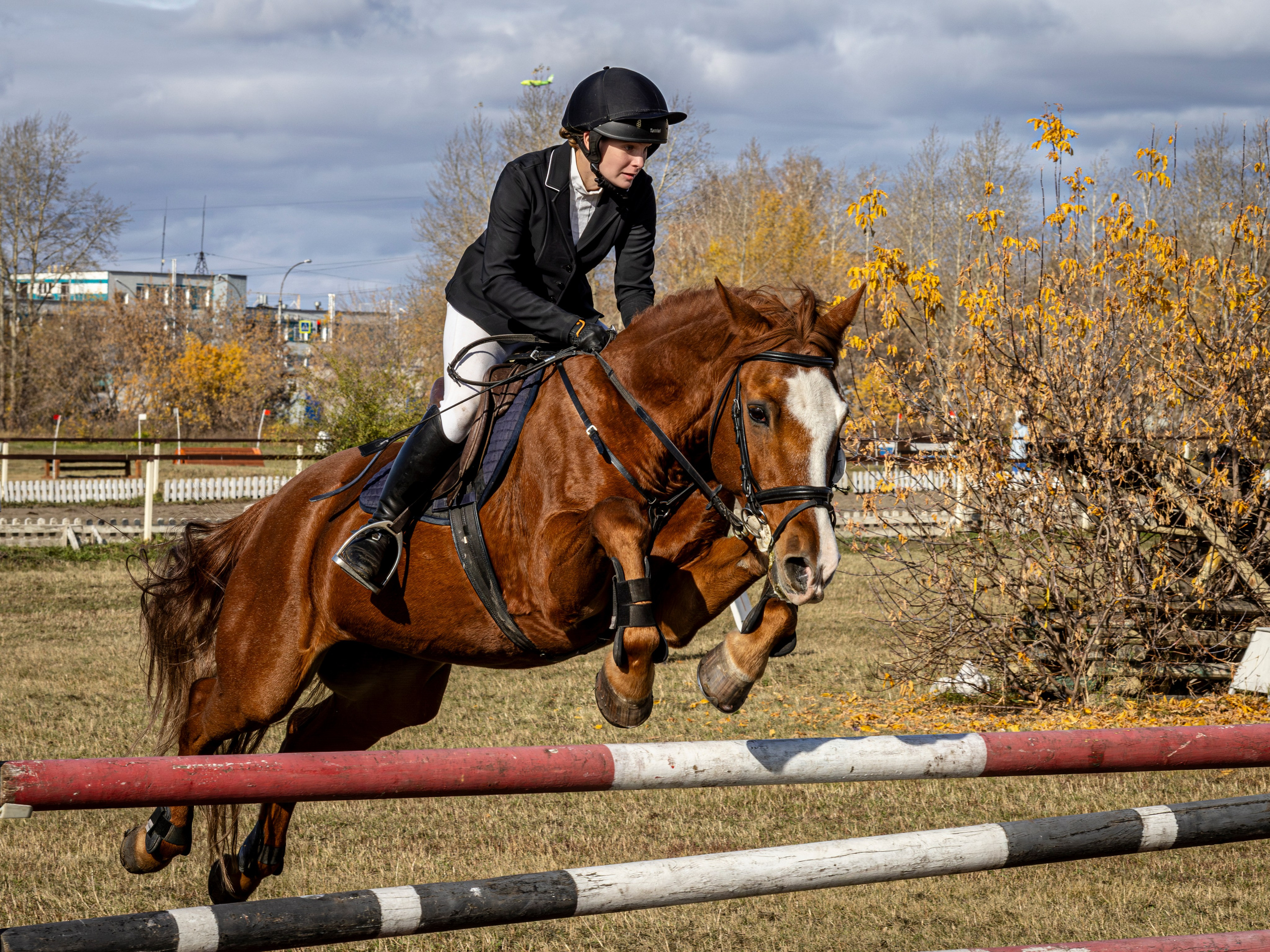 Конкур. Bertran Ordo