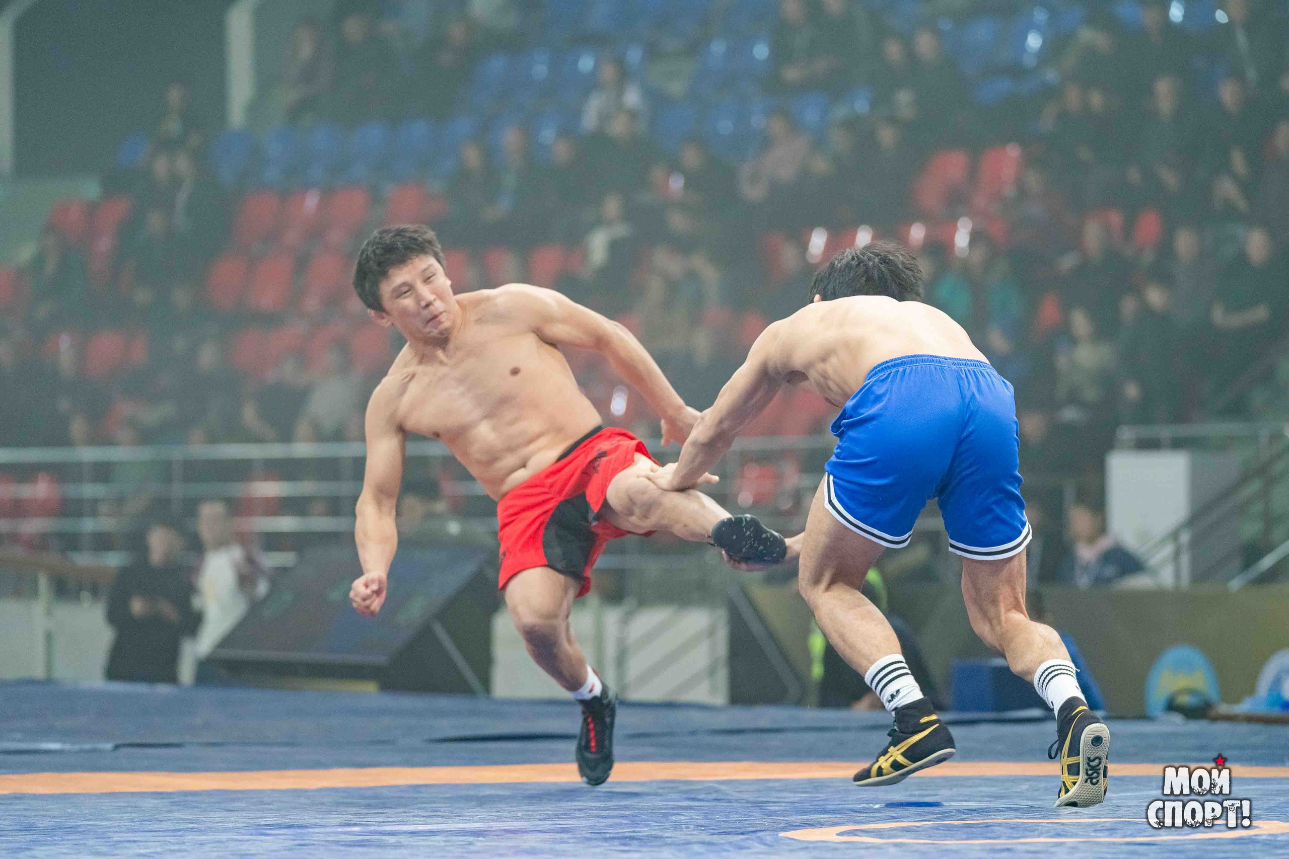 Ханалас Хапсагайа. Студия «Мой Спорт!» — все о спорте в Якутии