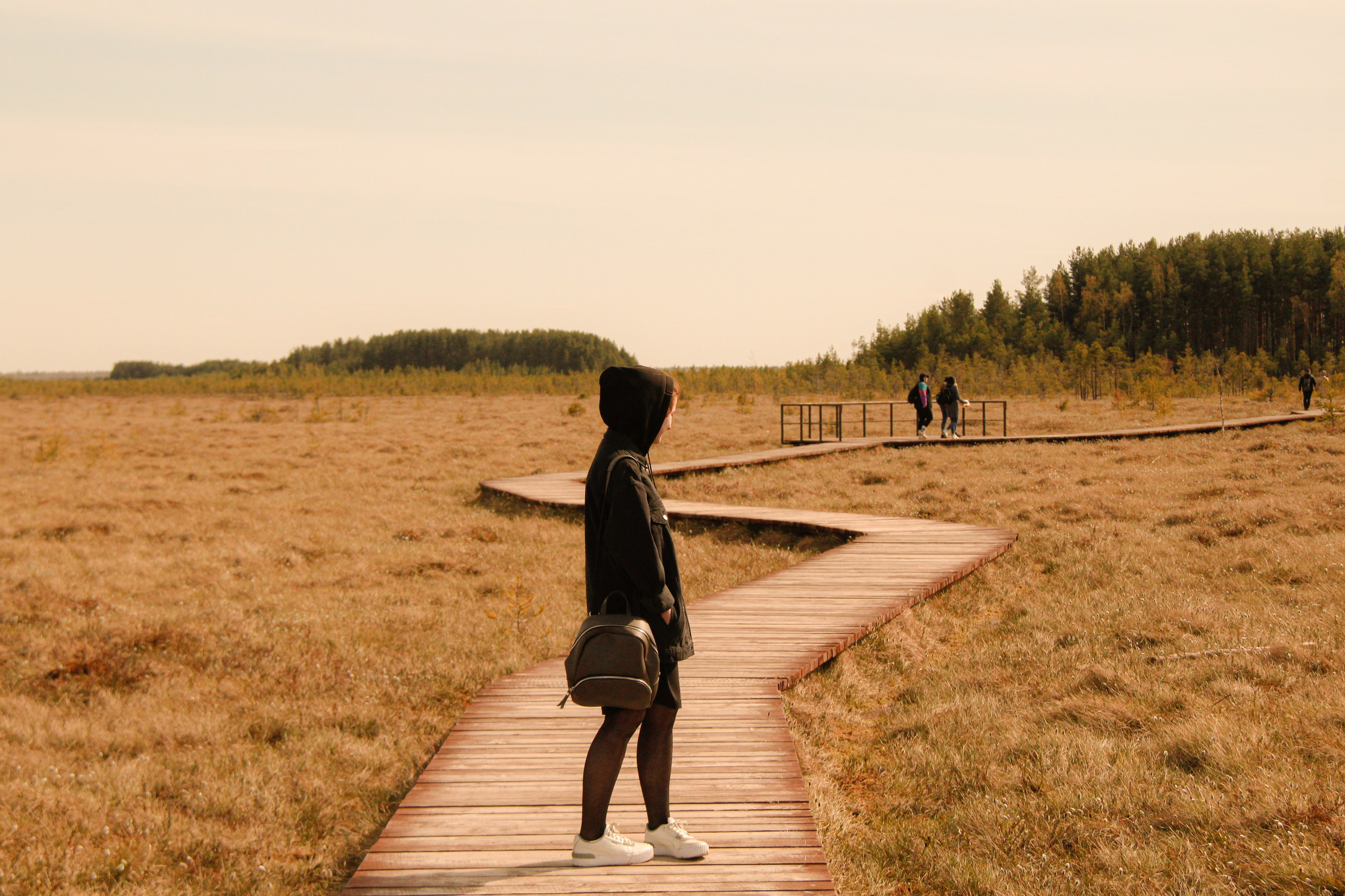 Болотный Хоббит. Карина и Аня. Janie valde | visual artist