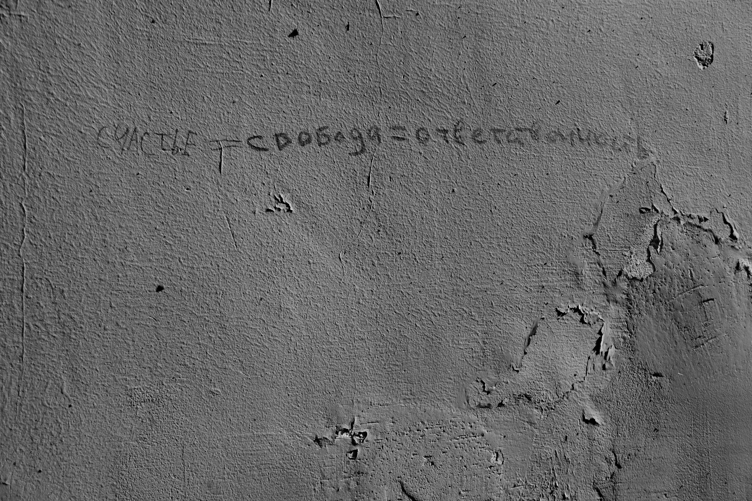 “Bureaucratic Habits”. Mayakovsky Library. 2025. Janie valde |photographer & visual artist