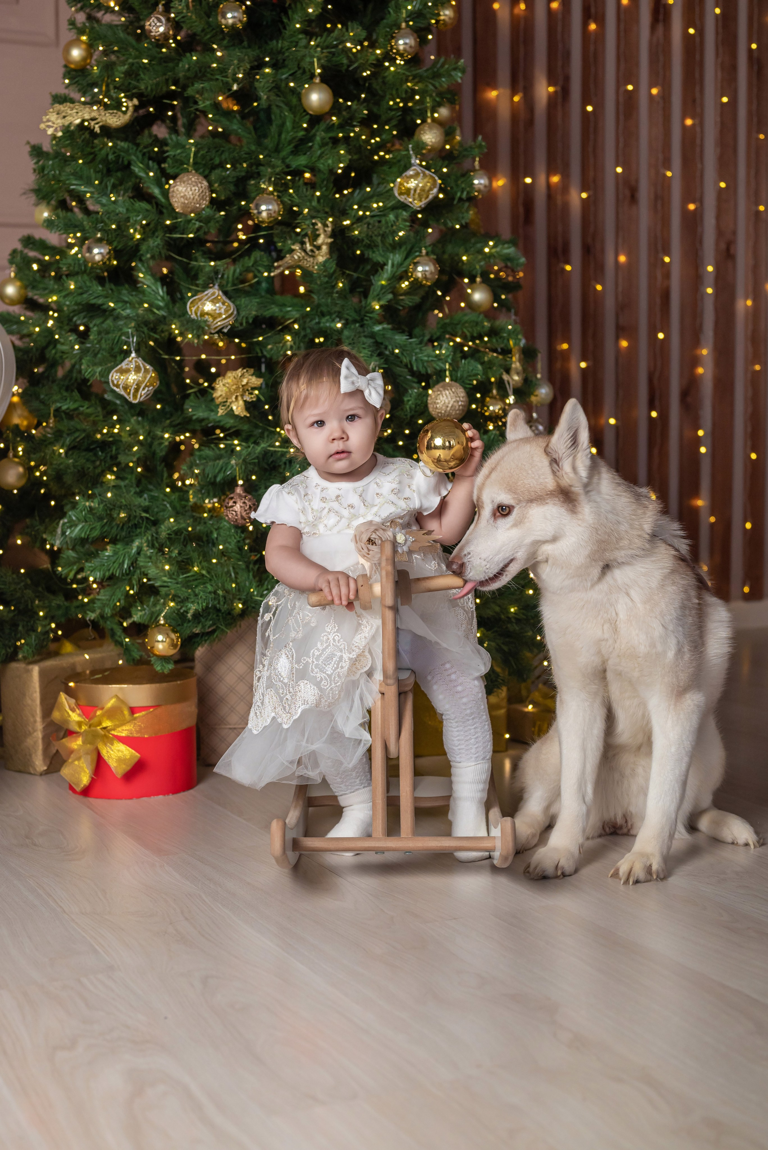 Фотопроект с хаски. Фотограф в городе Салават