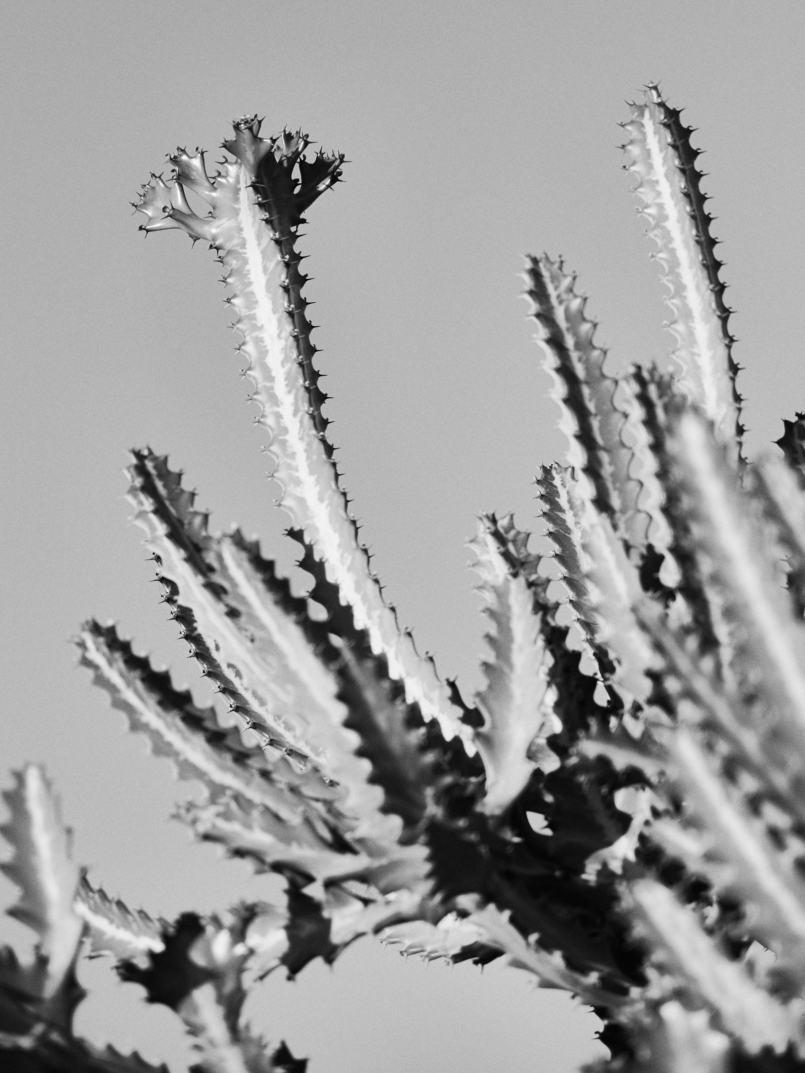 Другое 3. Jorgis — фотограф в Хургаде / обучение фотографии