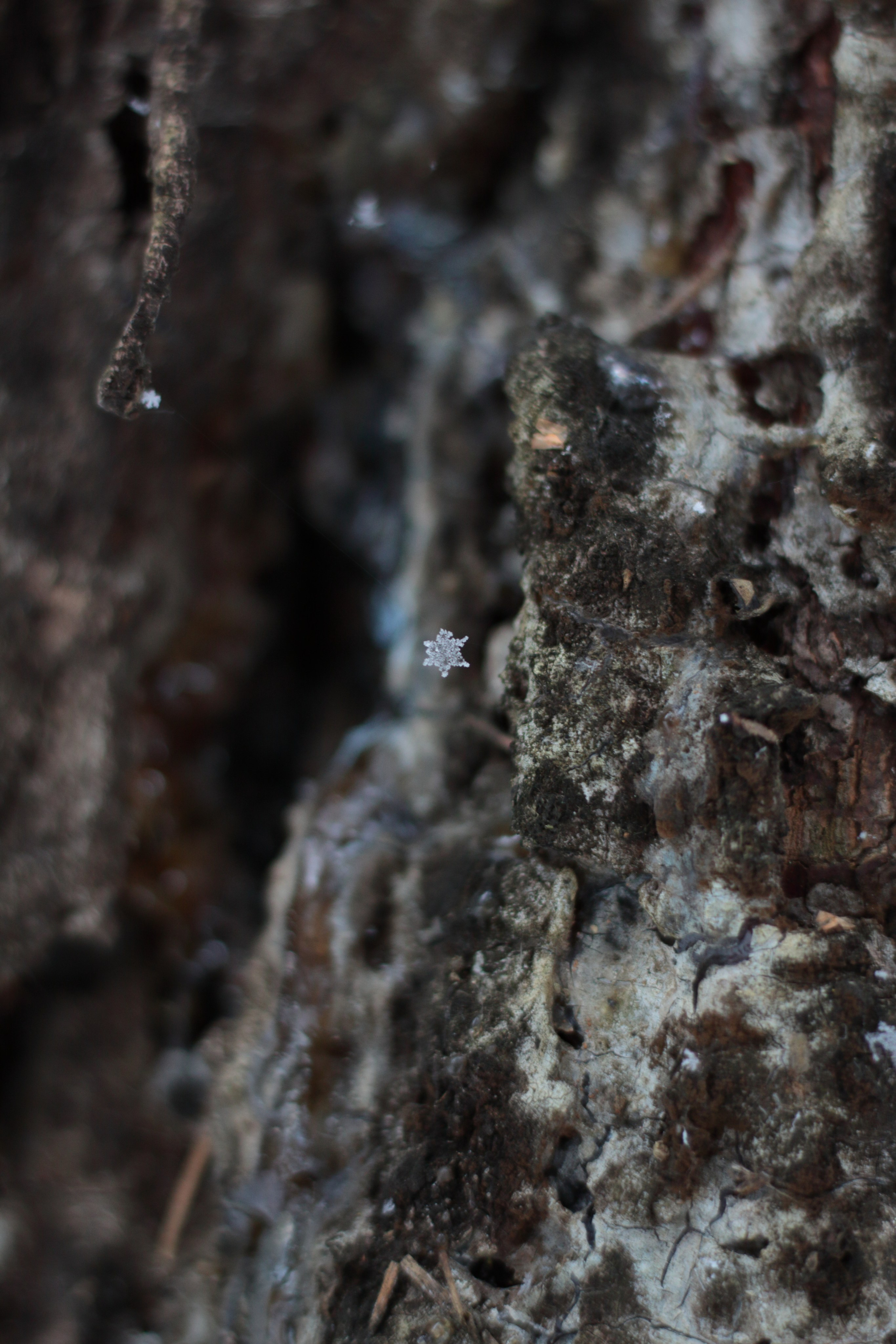 Старое природное, отбирала Katamount (Катерина Горохова). Главная