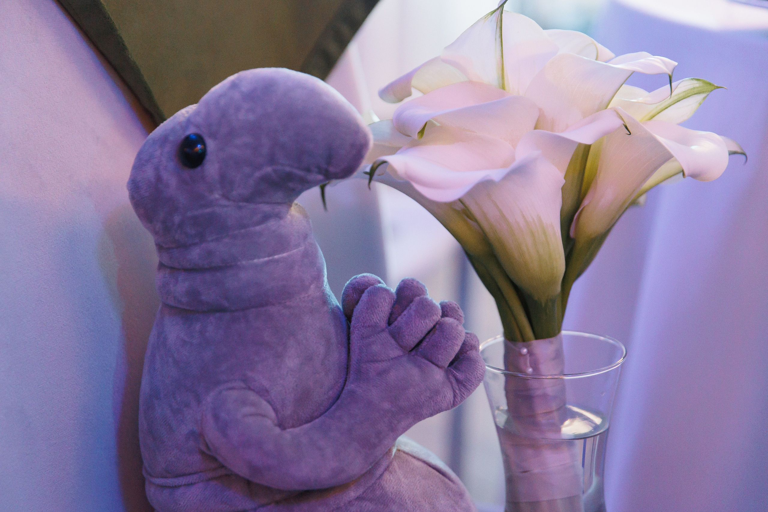 Скажи, что ты чувствуешь!. Свадебный фотограф в Санкт-Петербурге, Москве, Европе и по всему миру