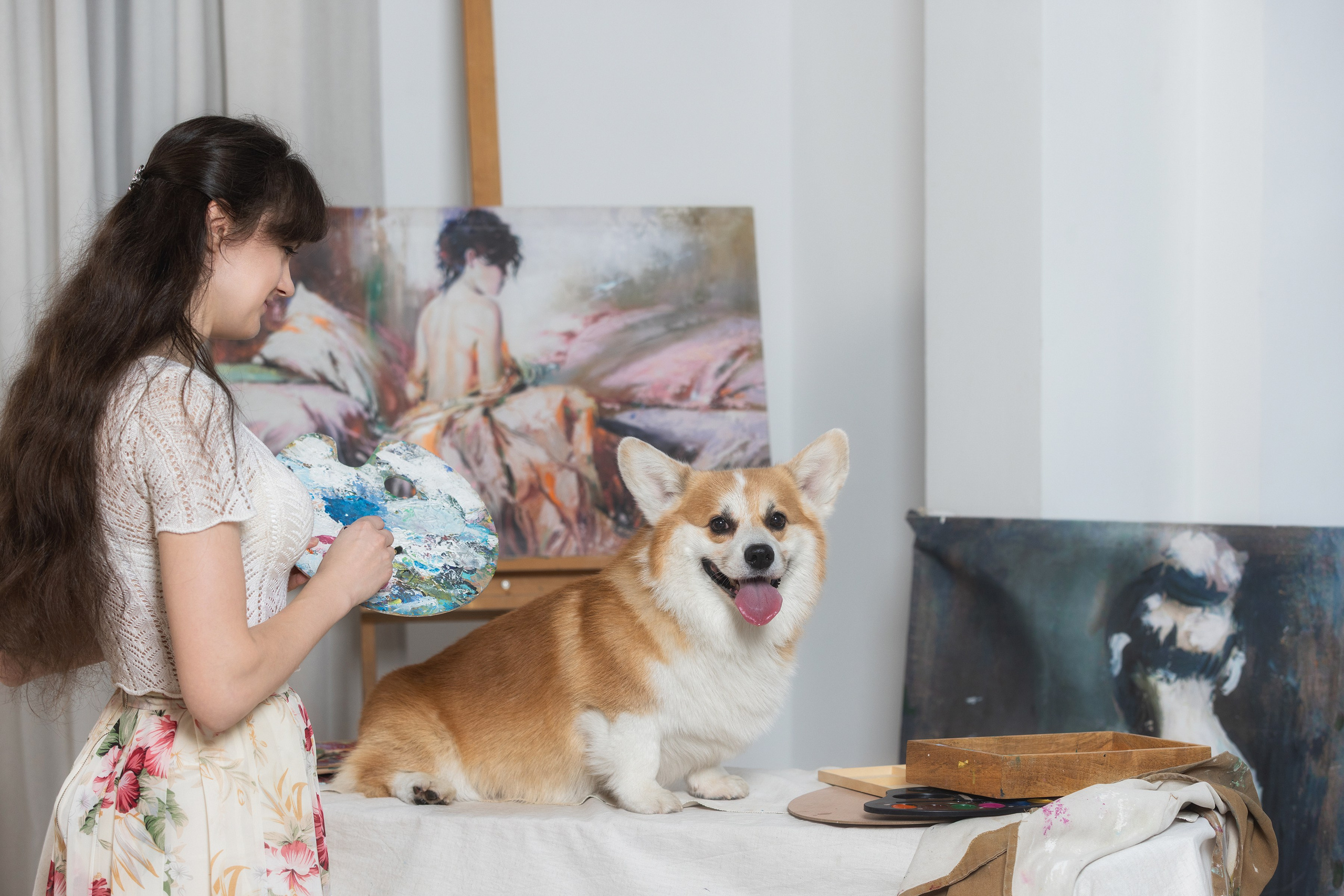 Собаки и не только. Фотограф Алена Звездина