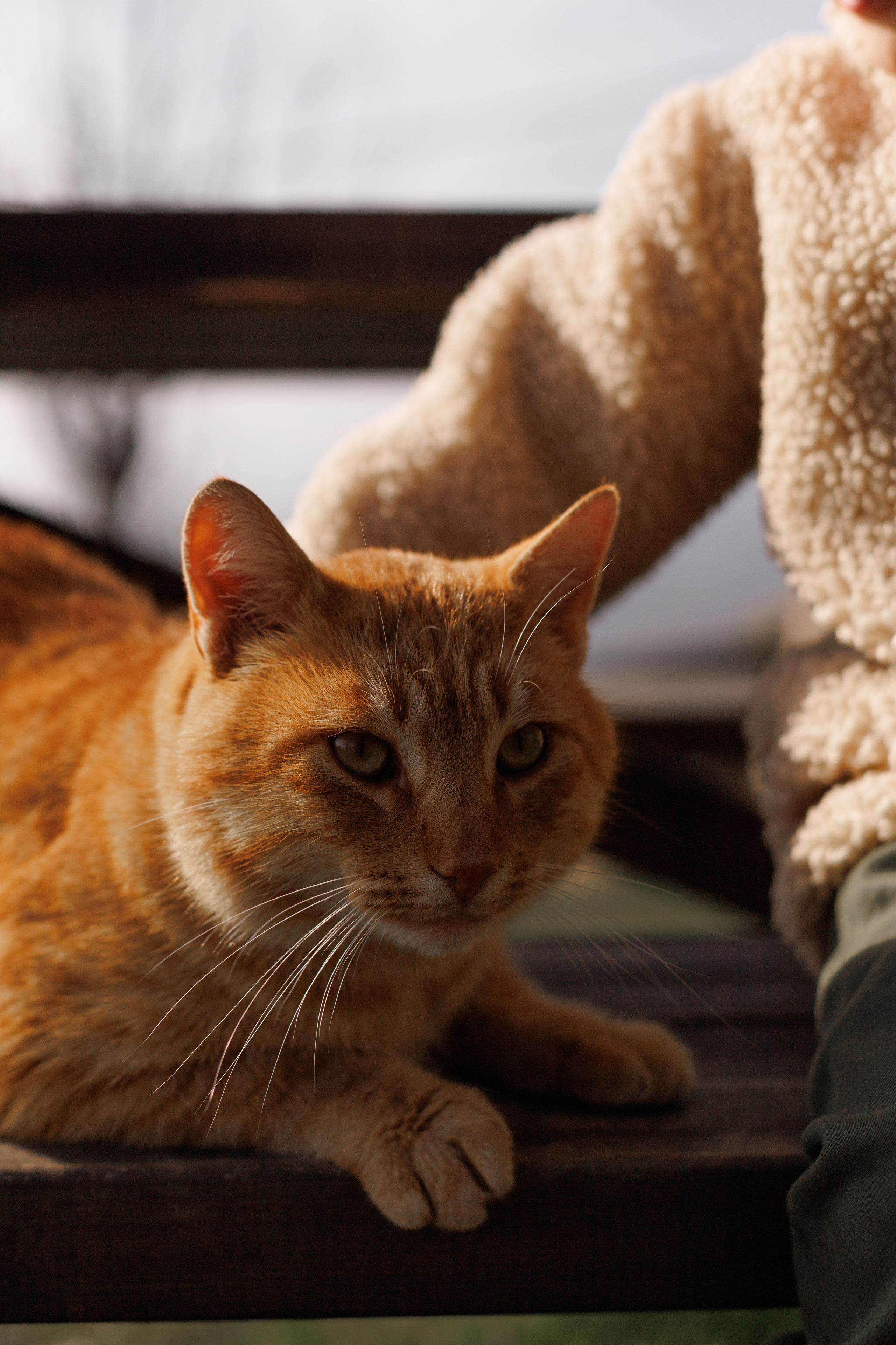 С папой вдвоем. Фотограф в Симферополе Мария Назарова