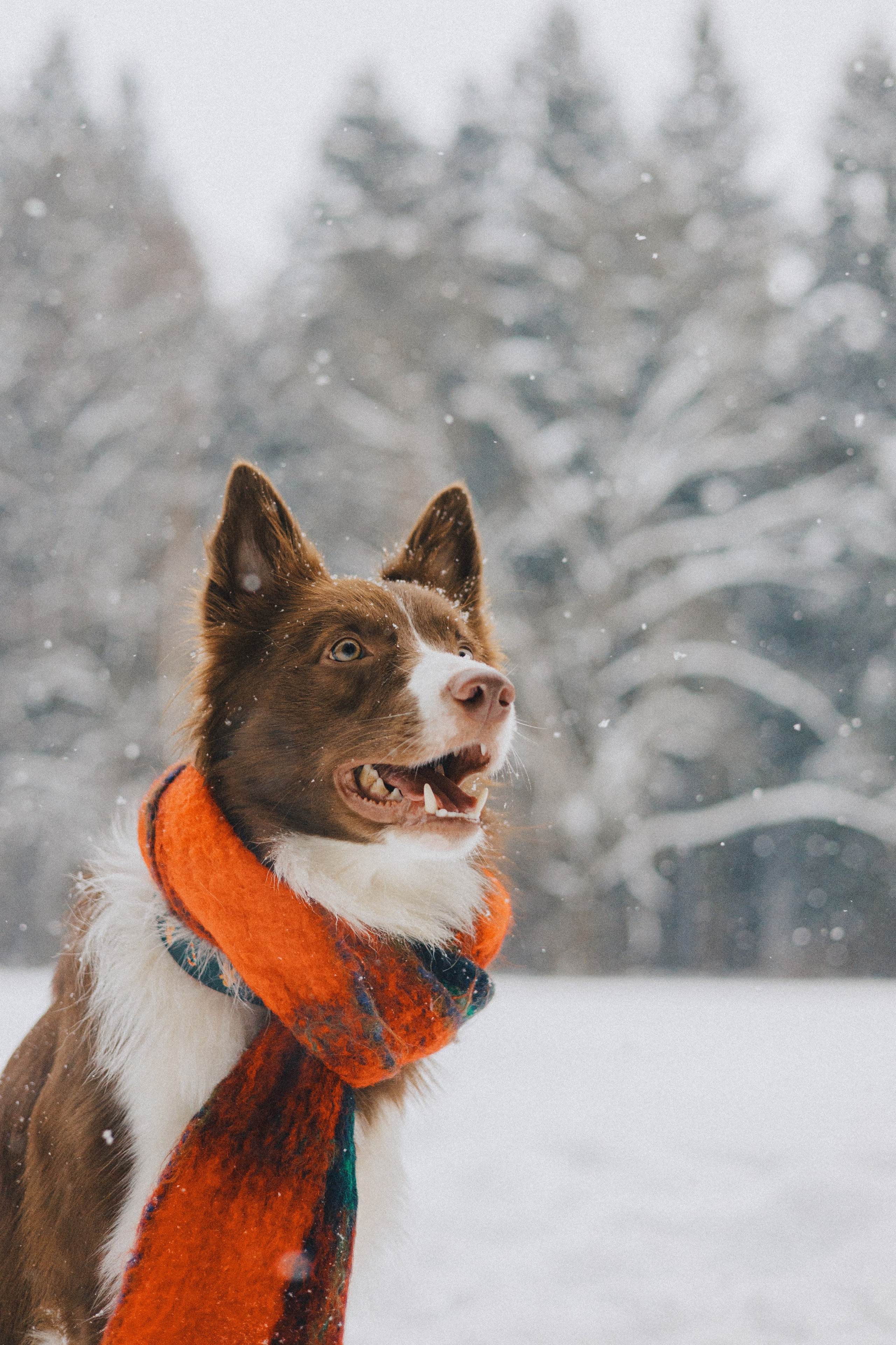 Настя и Ваня. Фотограф Анна Луценко Москва