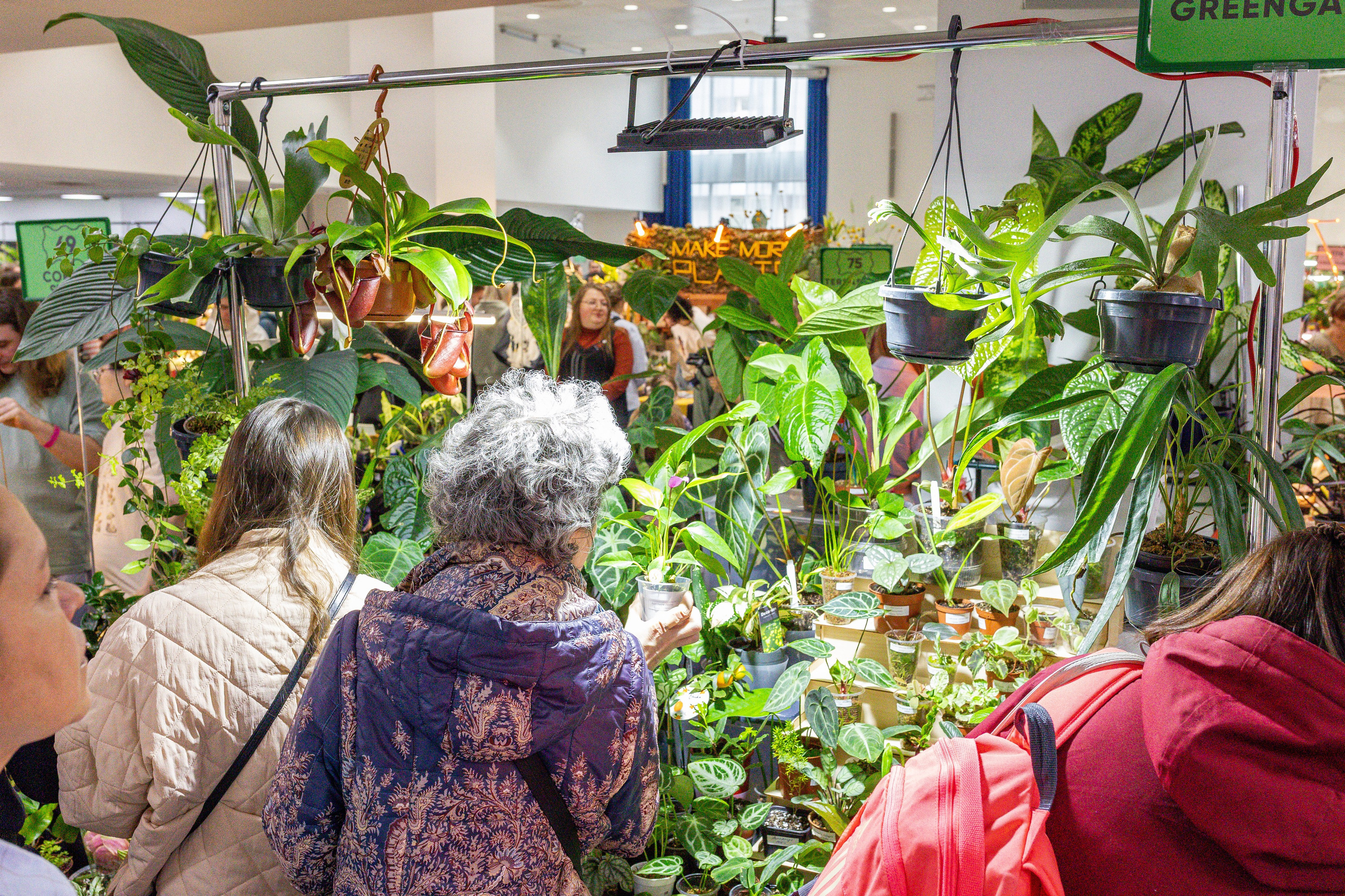 Монстериум апрель 2025. Александра Куликова фотограф, Москва