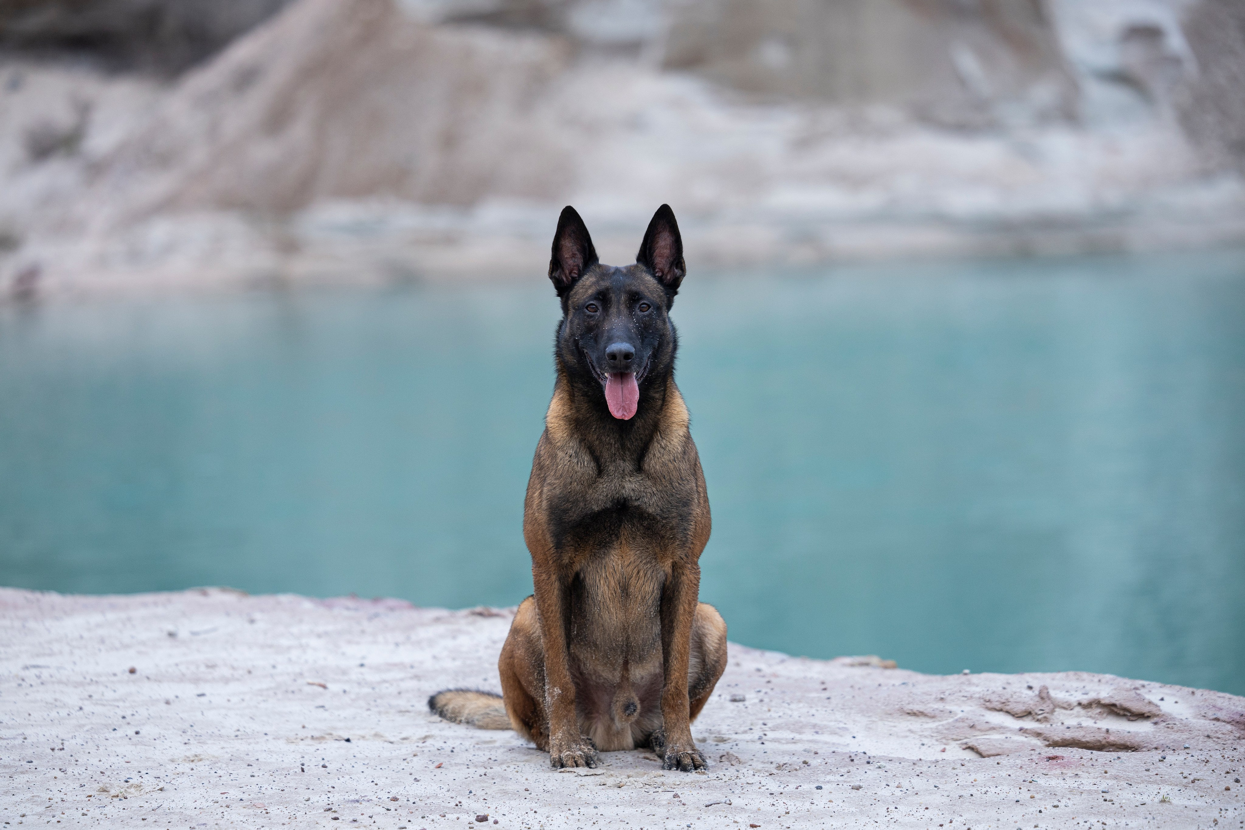 Лужские Мальдивы. Фотограф-анималист Анна Маринич