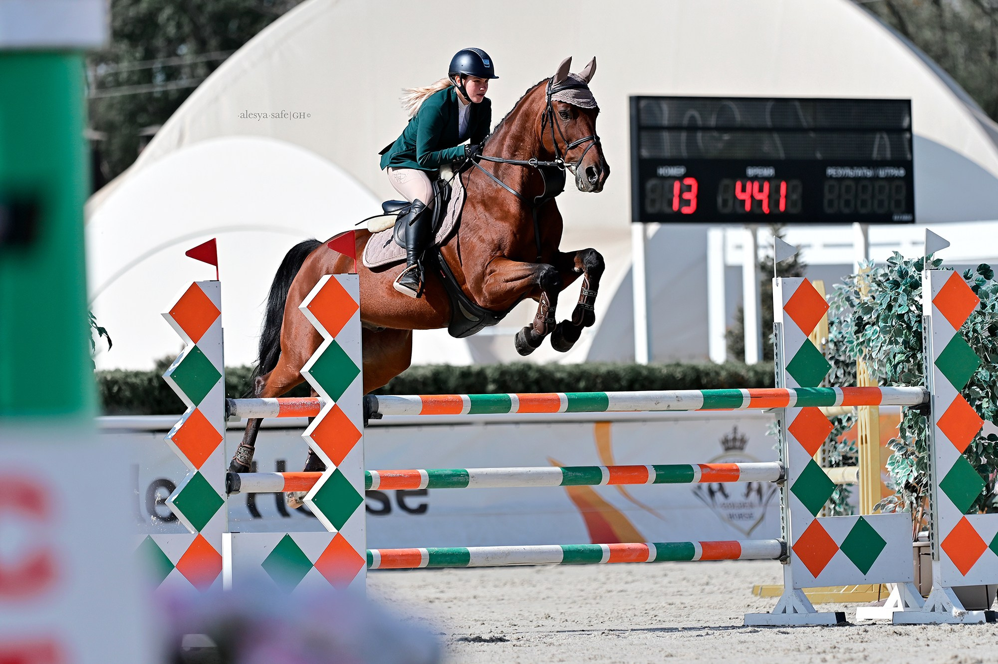 Голден. Конный фотограф Alesya Safe