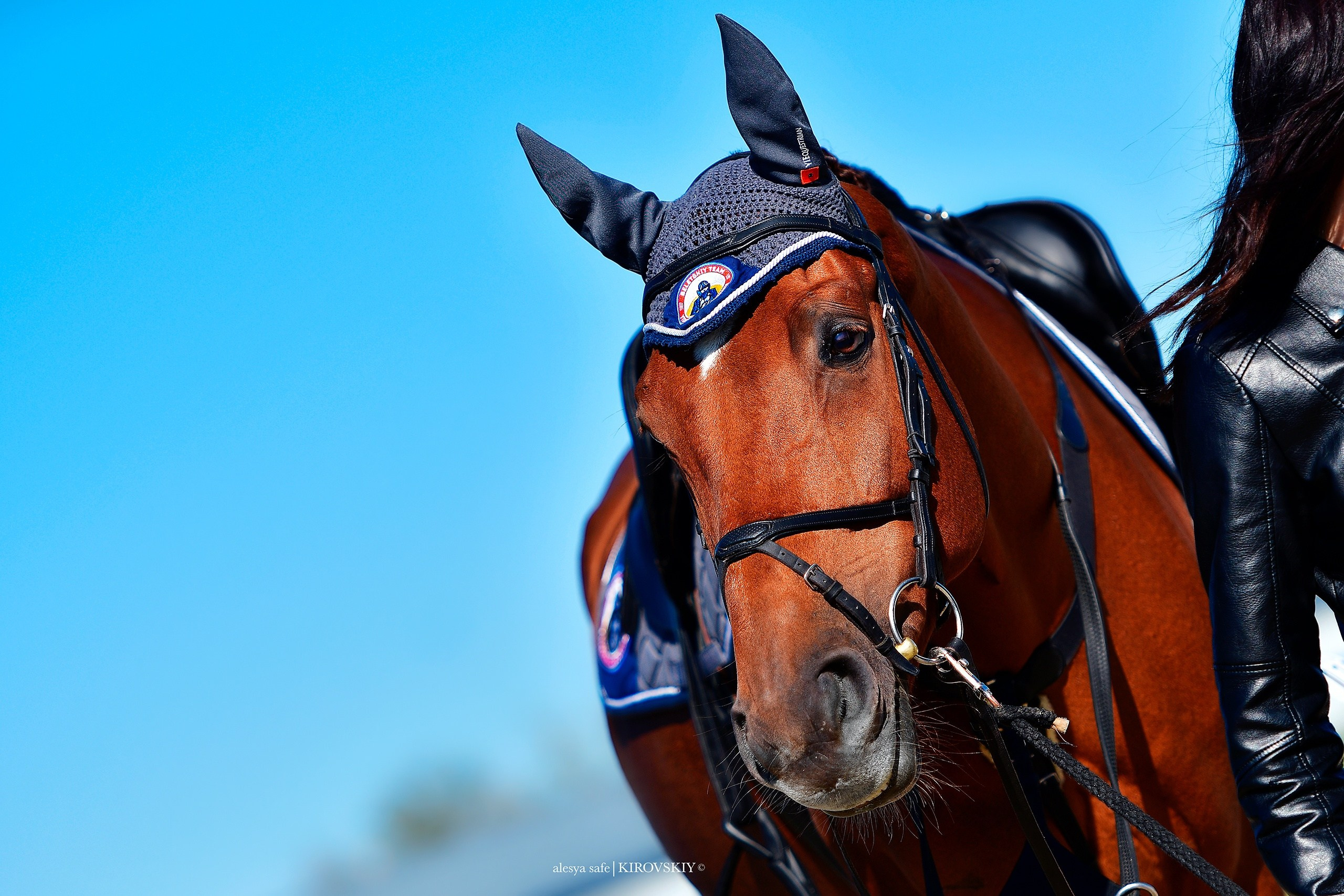 Кировский конный завод. Конный фотограф Alesya Safe