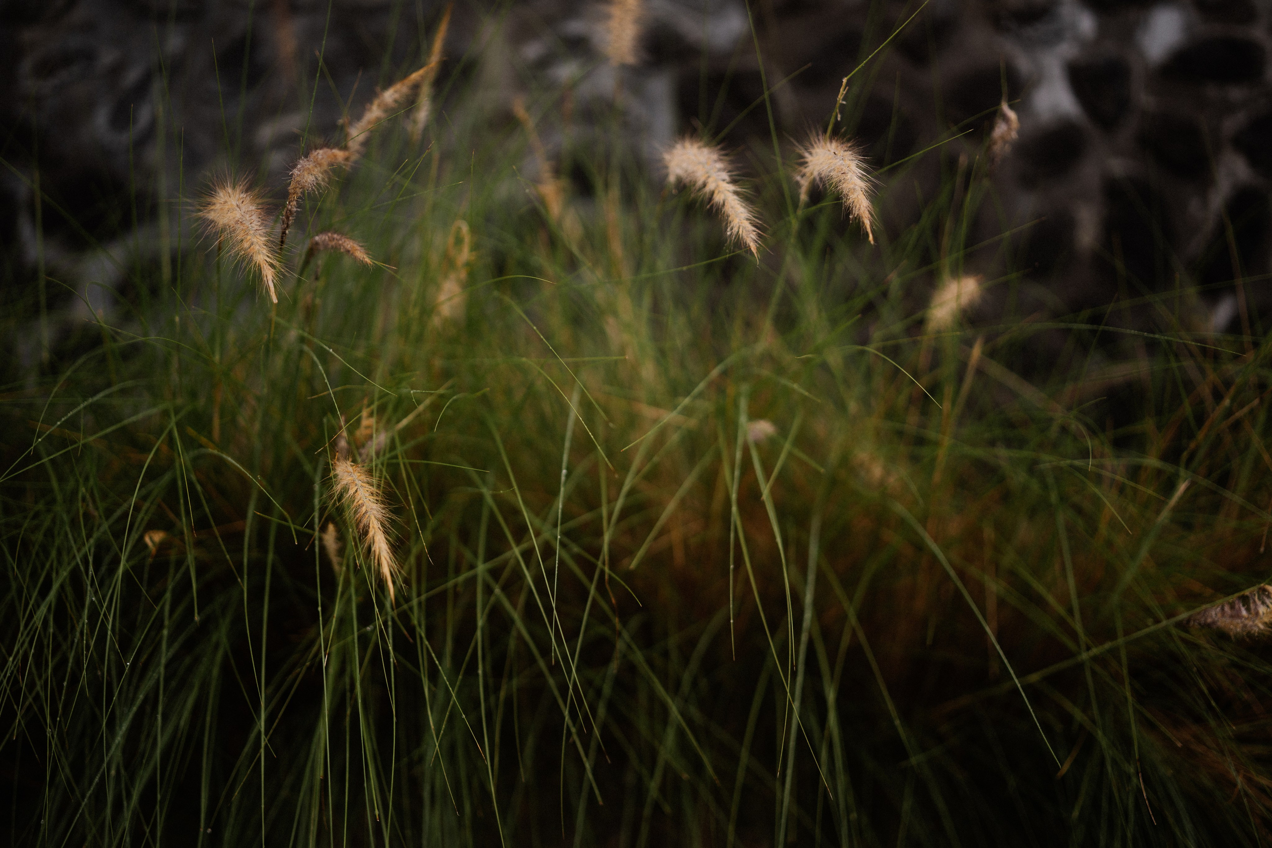 Alex, Mila & Varya. Olga Antipova — photographer