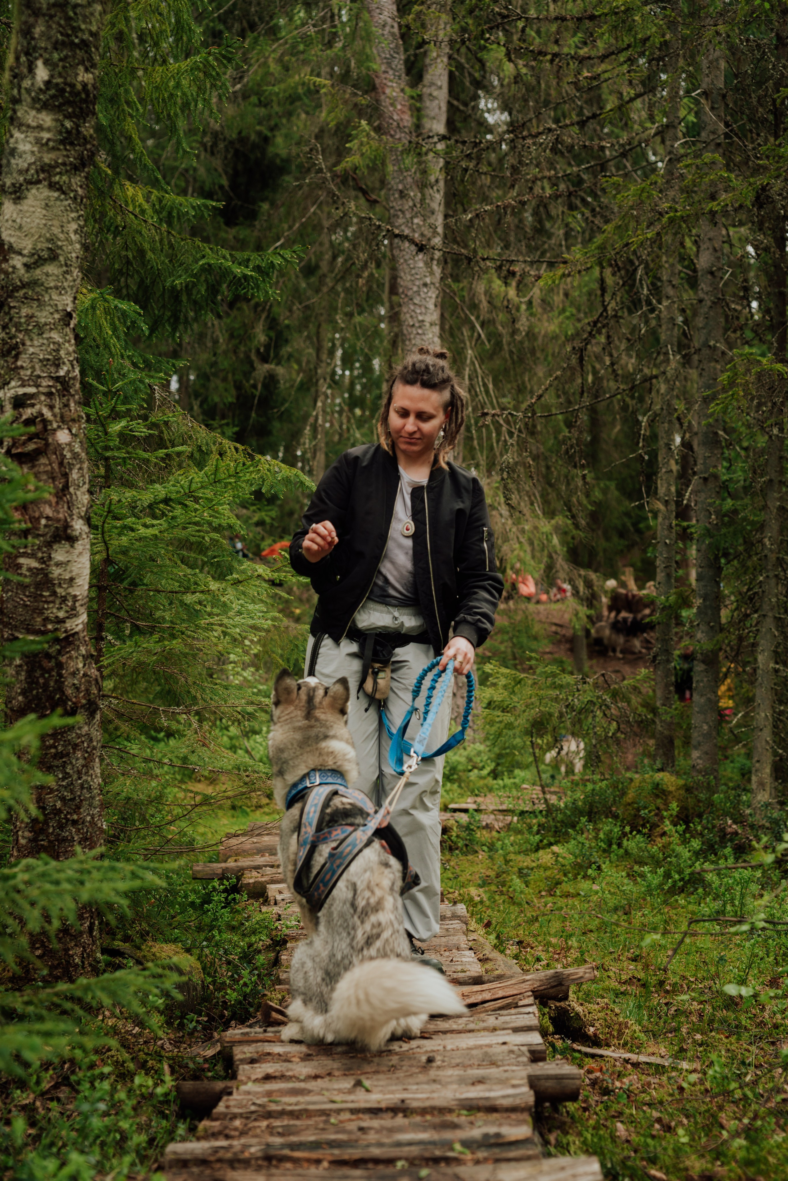 Догтрекинг. Фотограф в Санкт-Петербурге и Ленинградской области