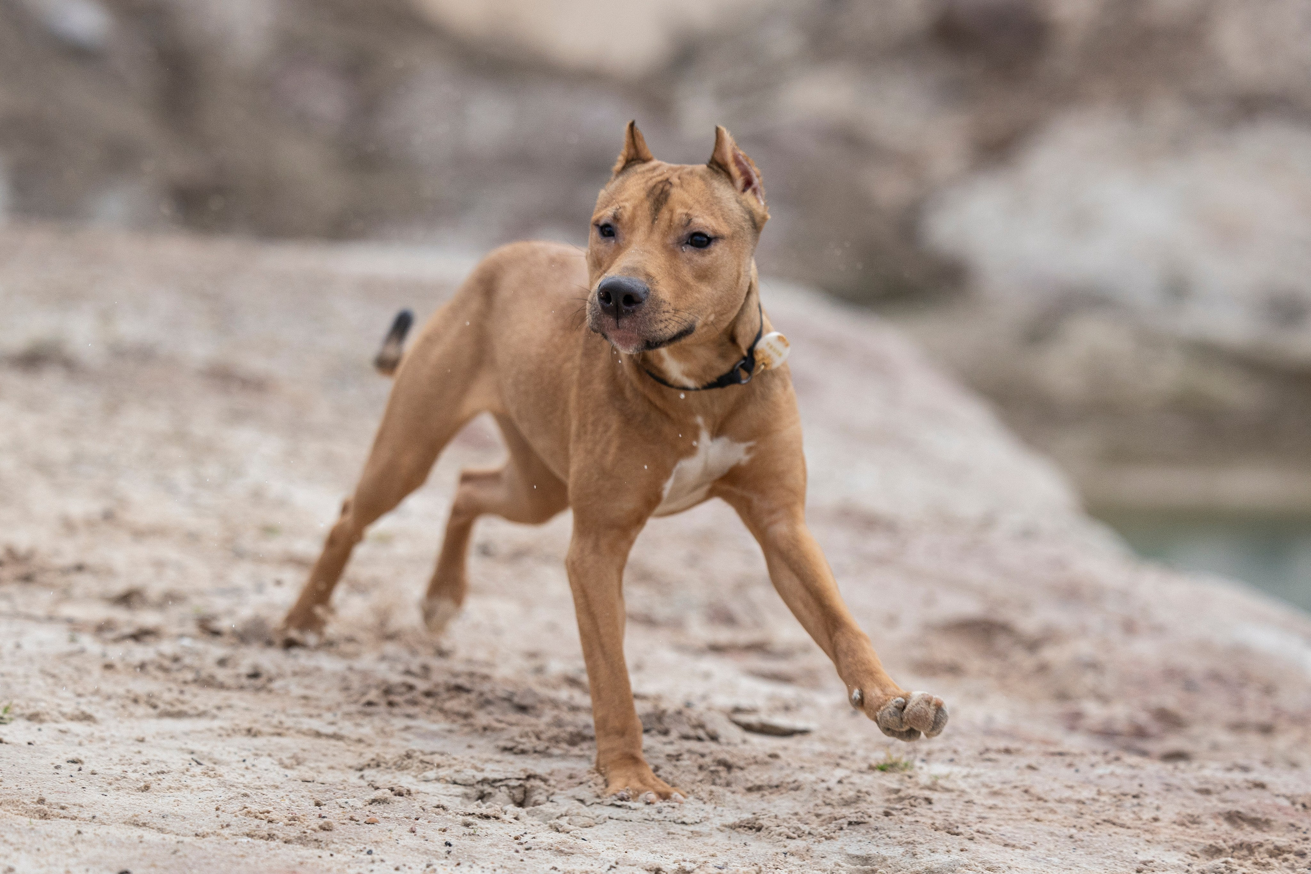 Лужские Мальдивы. Фотограф-анималист Анна Маринич