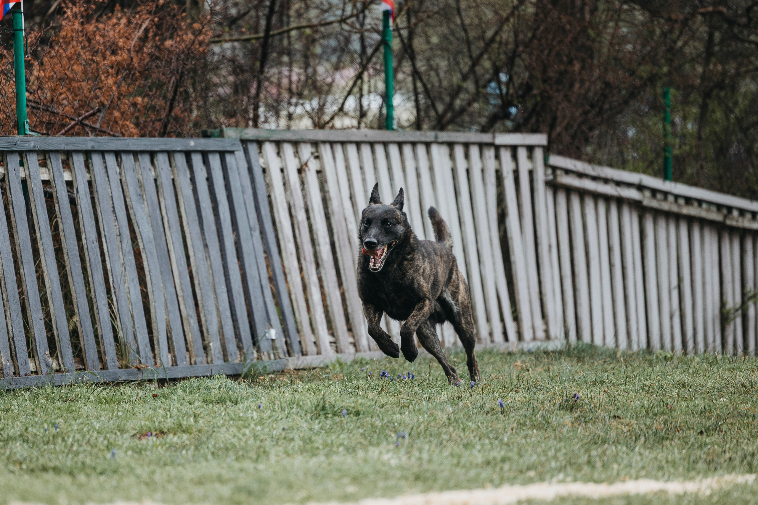 Геленджик Мондьоринг. Фотограф-анималист Анна Маринич