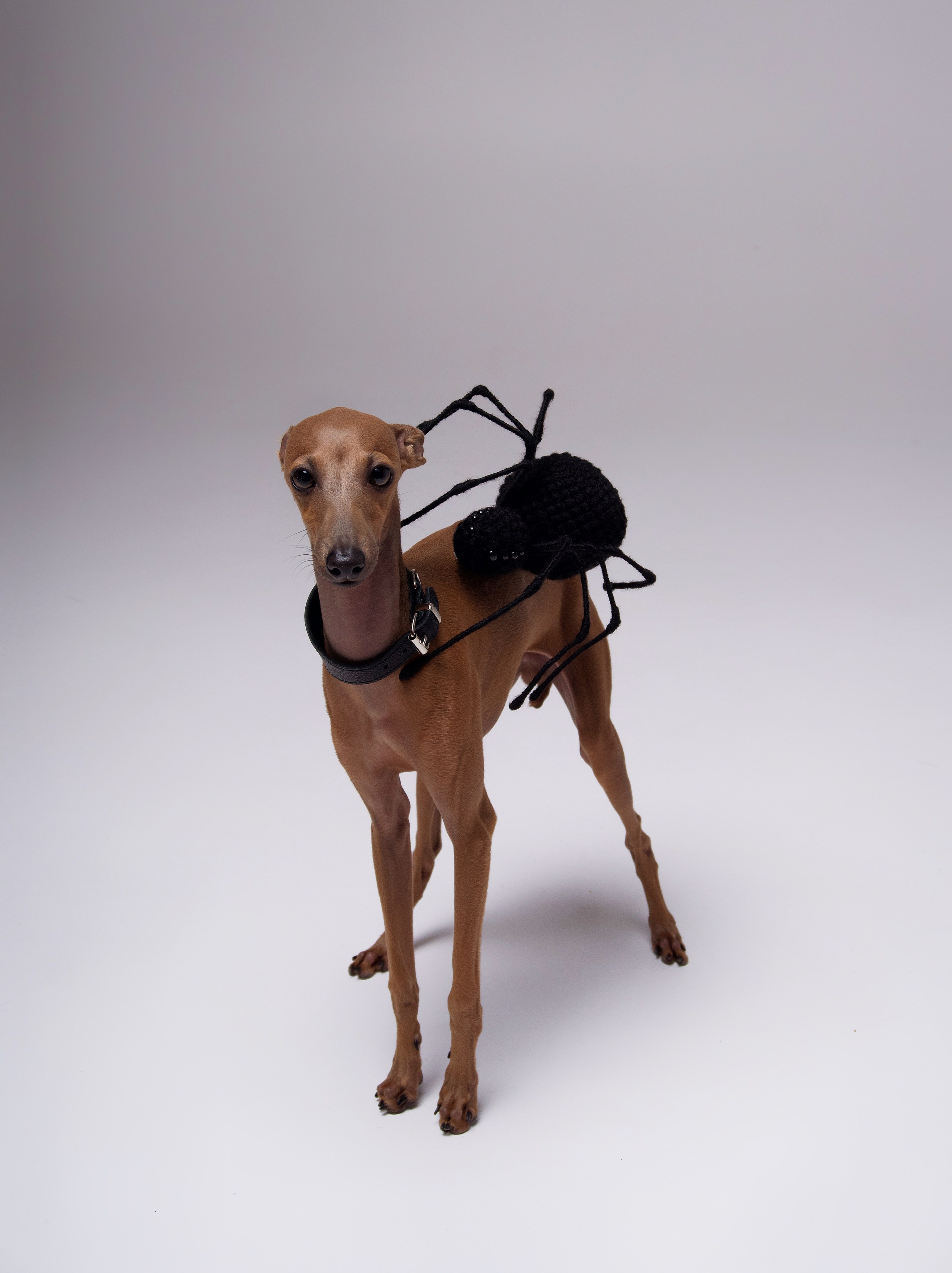 Галина, готика. Фотограф в Минске Света Григорьева