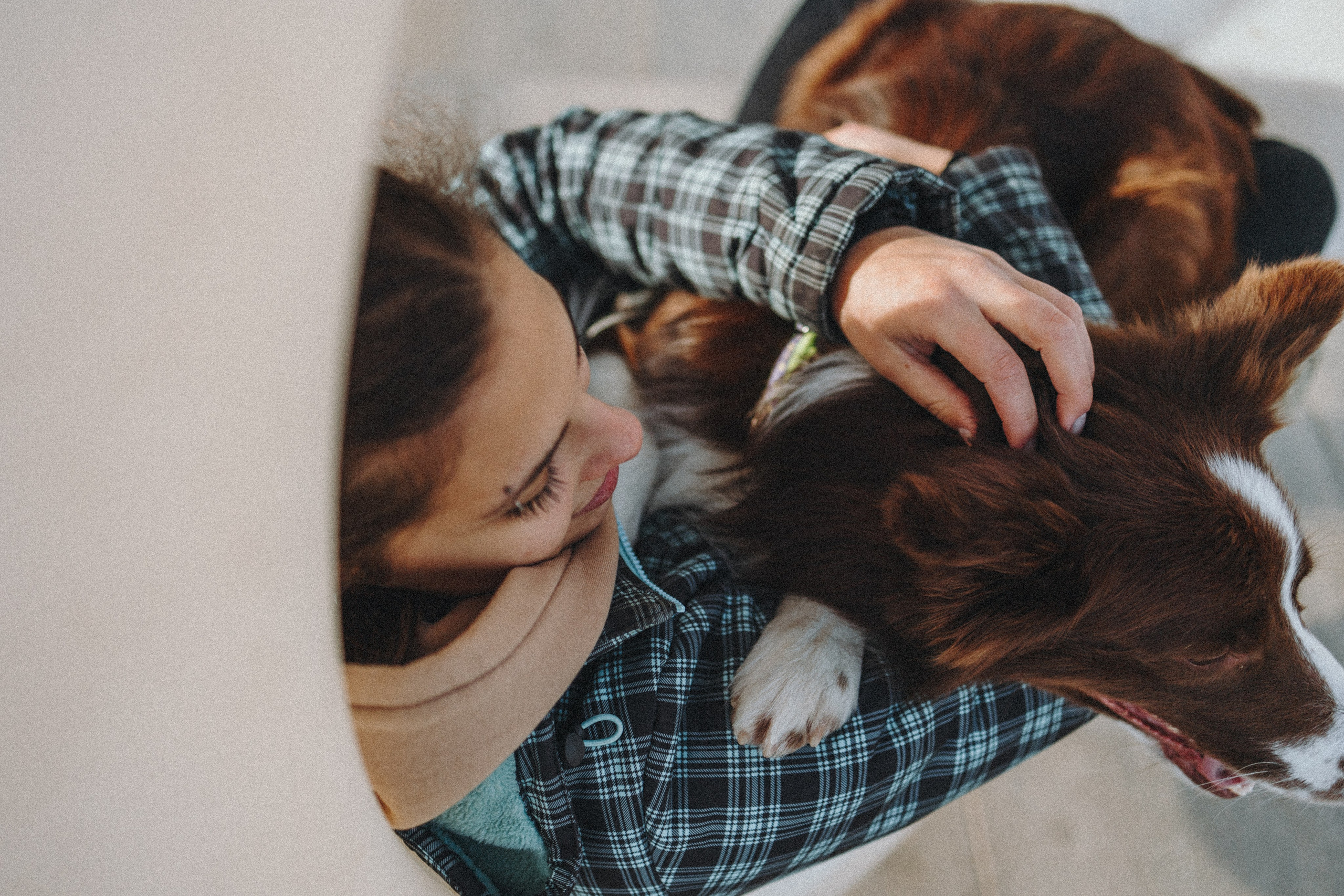 Маша и Тори. Фотограф — анималист Светлана Кысса|фотограф собак в Краснодаре и Нижнем Новгороде
