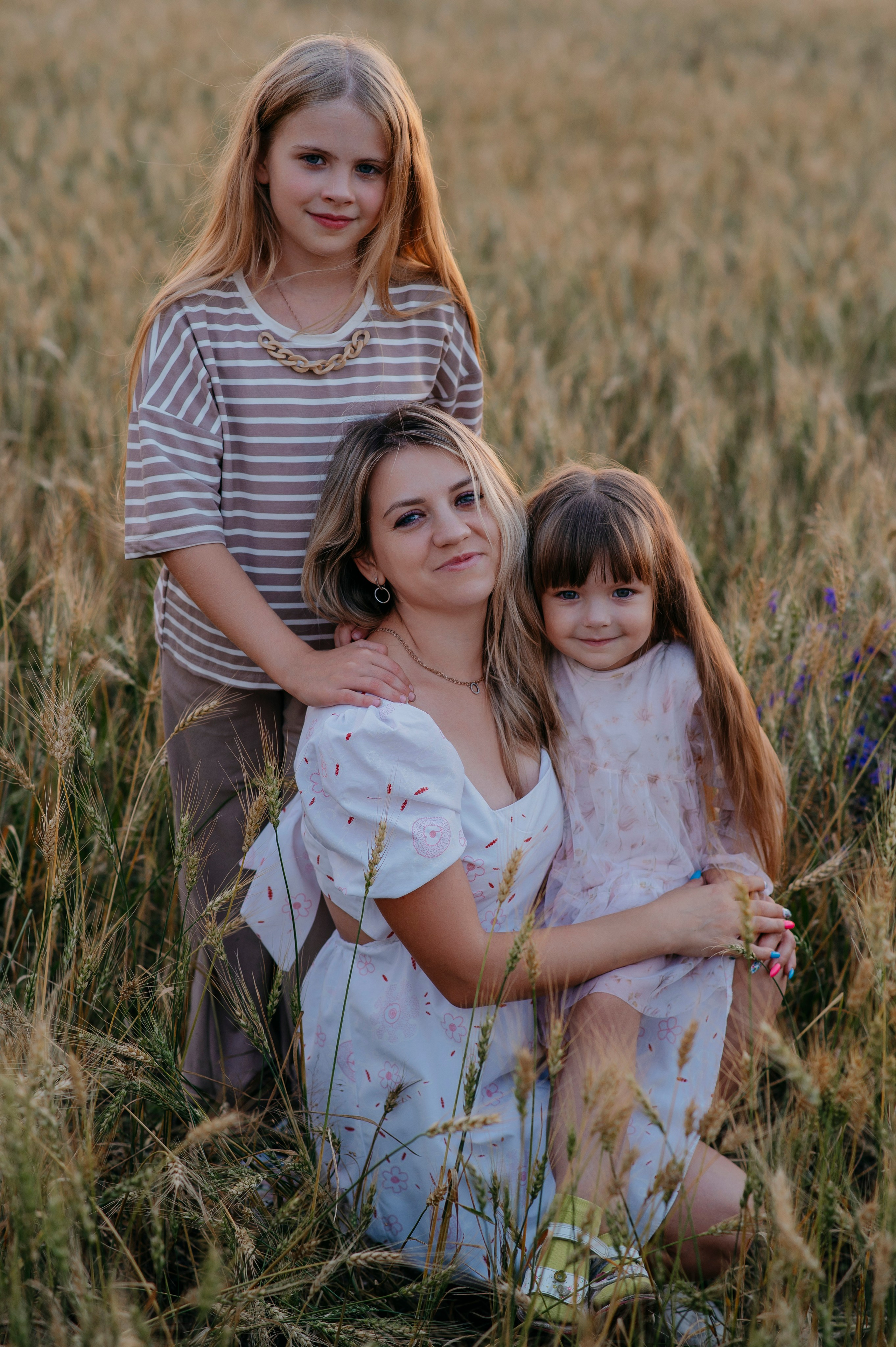 Пшеничный закат. Фотограф Дарья Семина