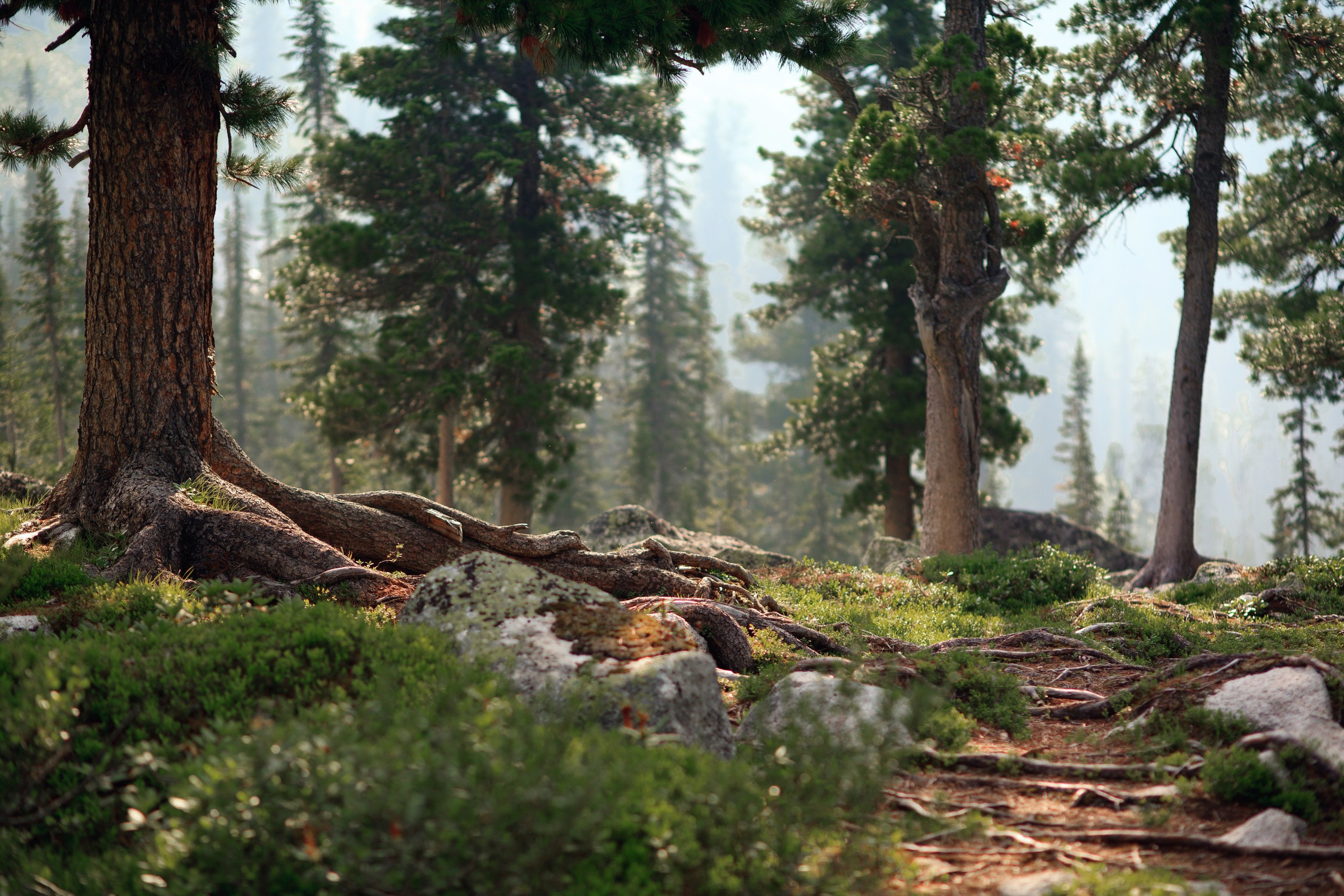 Ергаки. Фотограф в Красноярске Нерозя Александр. Пейзаж, природа, портрет