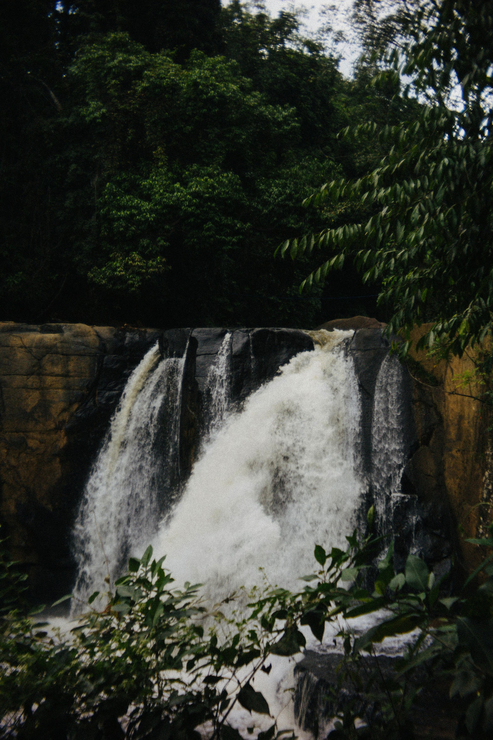 Шри + Бангкок. Фотограф Тбилиси Саша Мороз