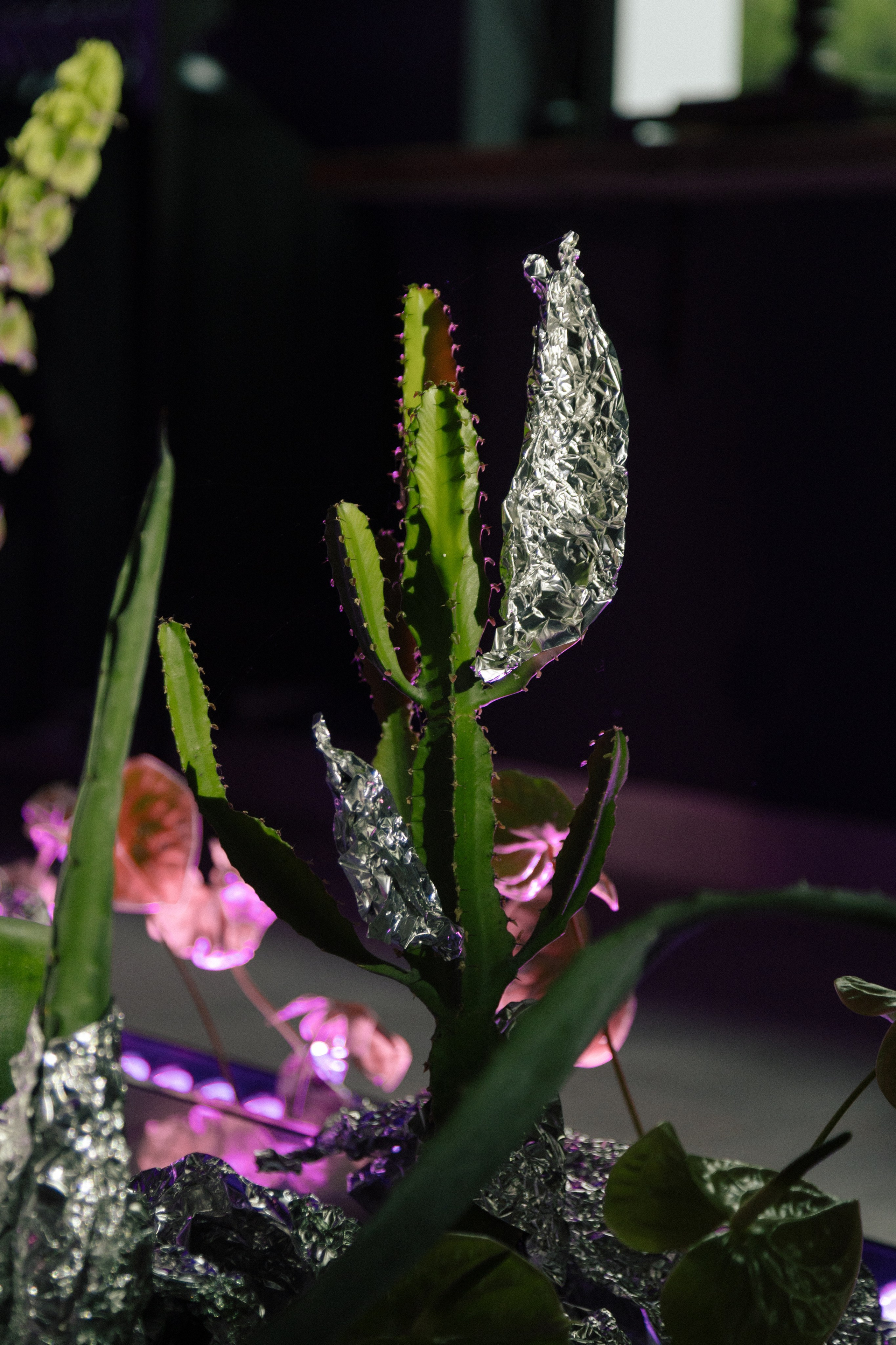 Открытие магазина Husband