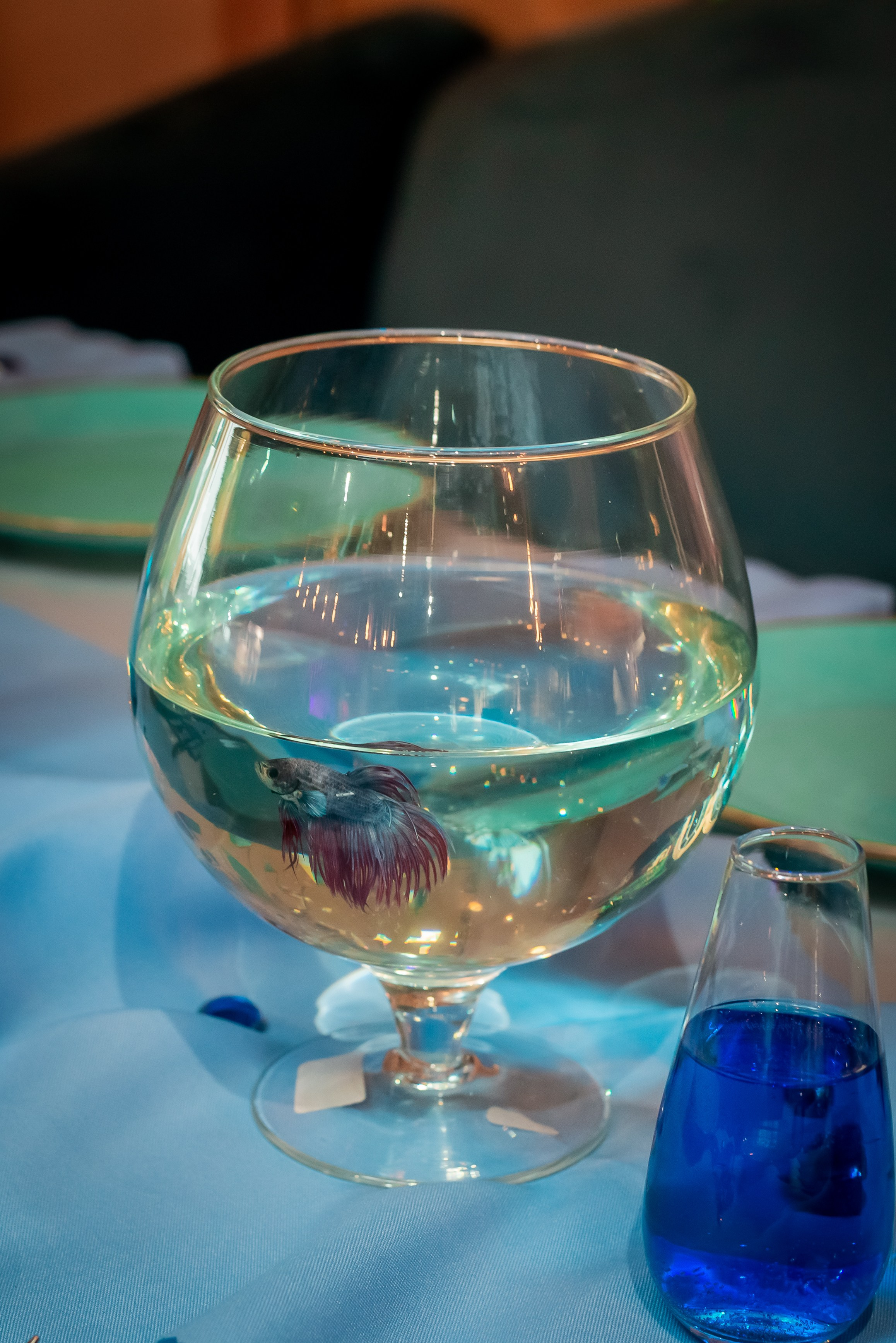 Наследники. Детский День Рождения. Фотограф Сергей Катаев