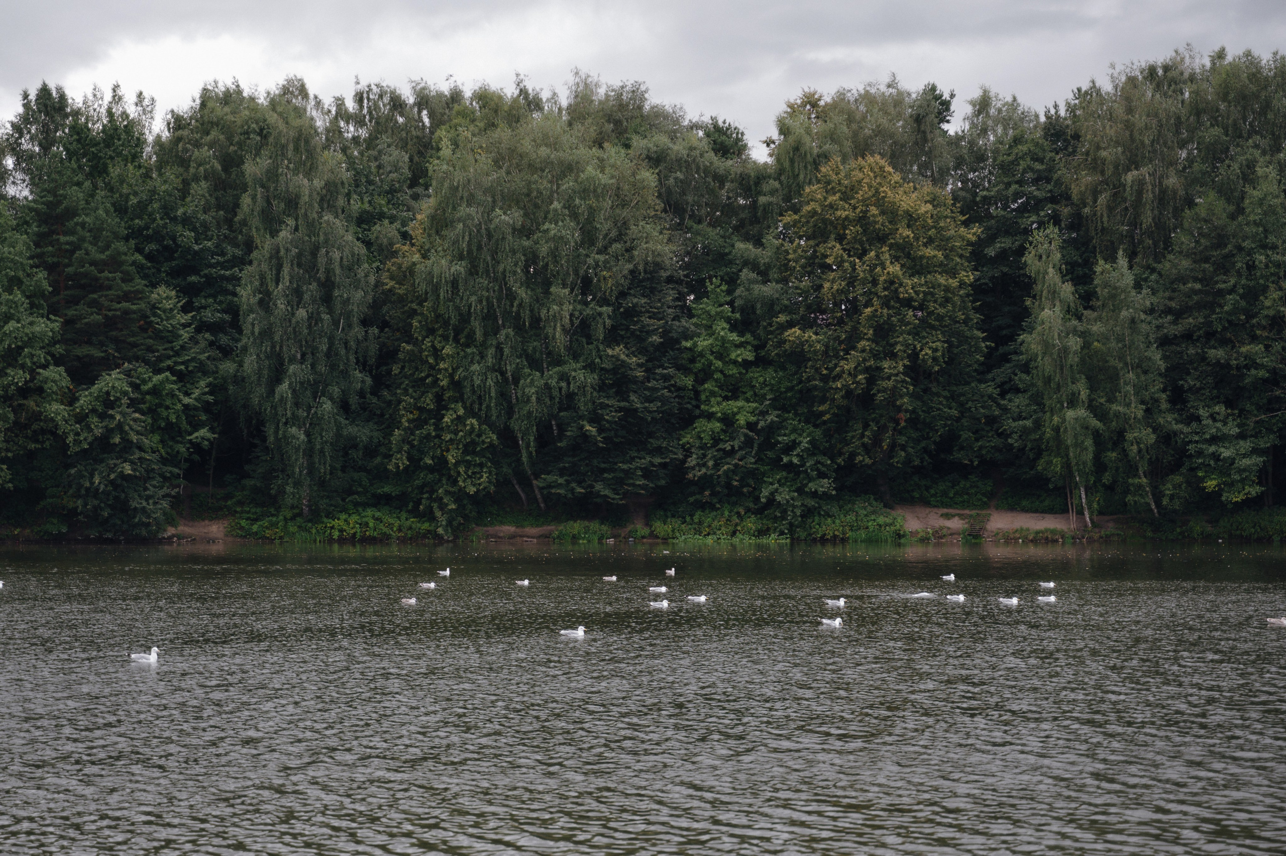 Ирина и Андрей. Свадебный фотограф Москва и Санкт-Петербург. Анастасия Чудина