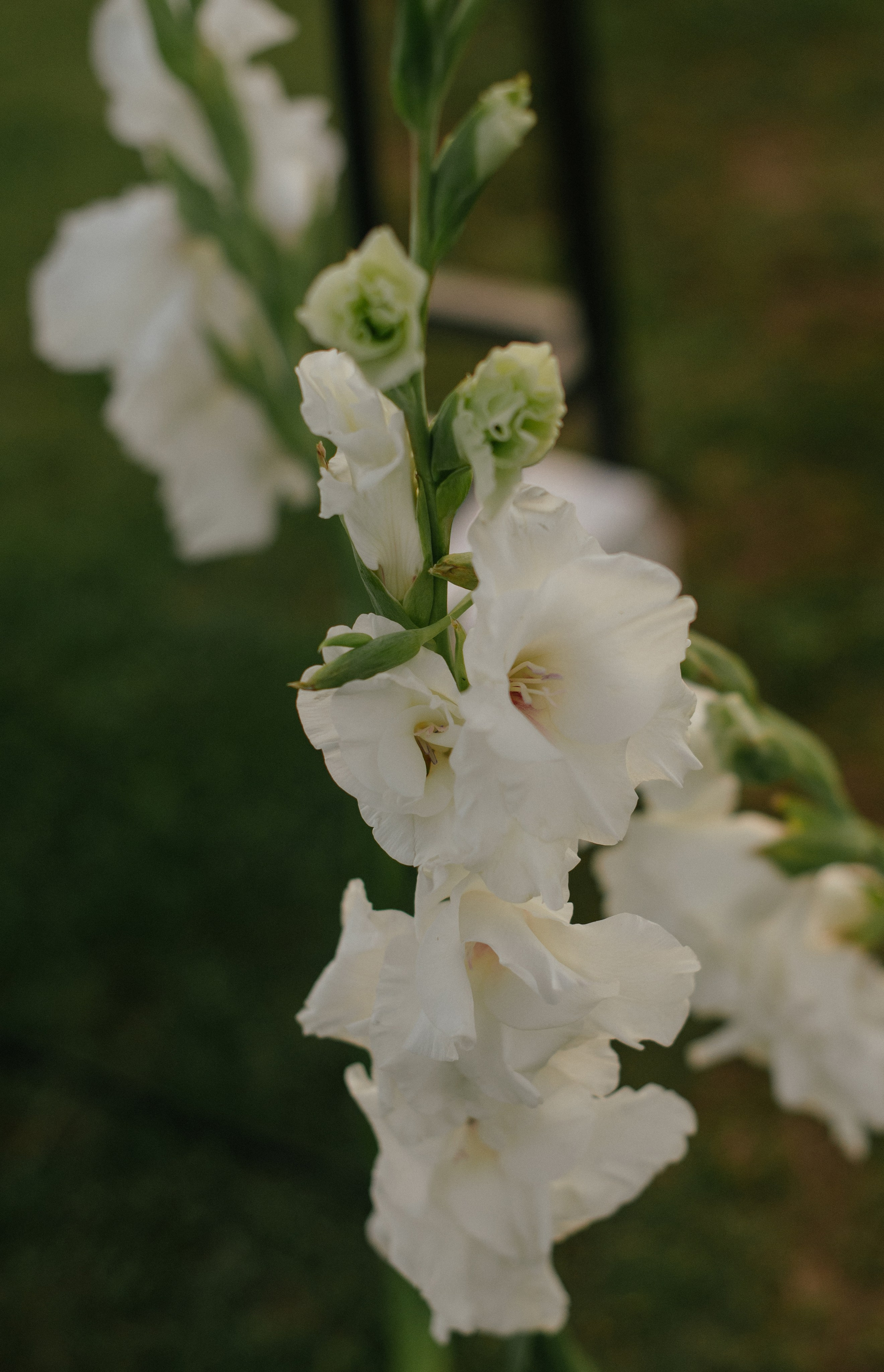 Владислав и Юлия (Вечеринка по случаю венчания). Свадебный, женский, семейный фотограф в Севастополе Юлия Мошенко