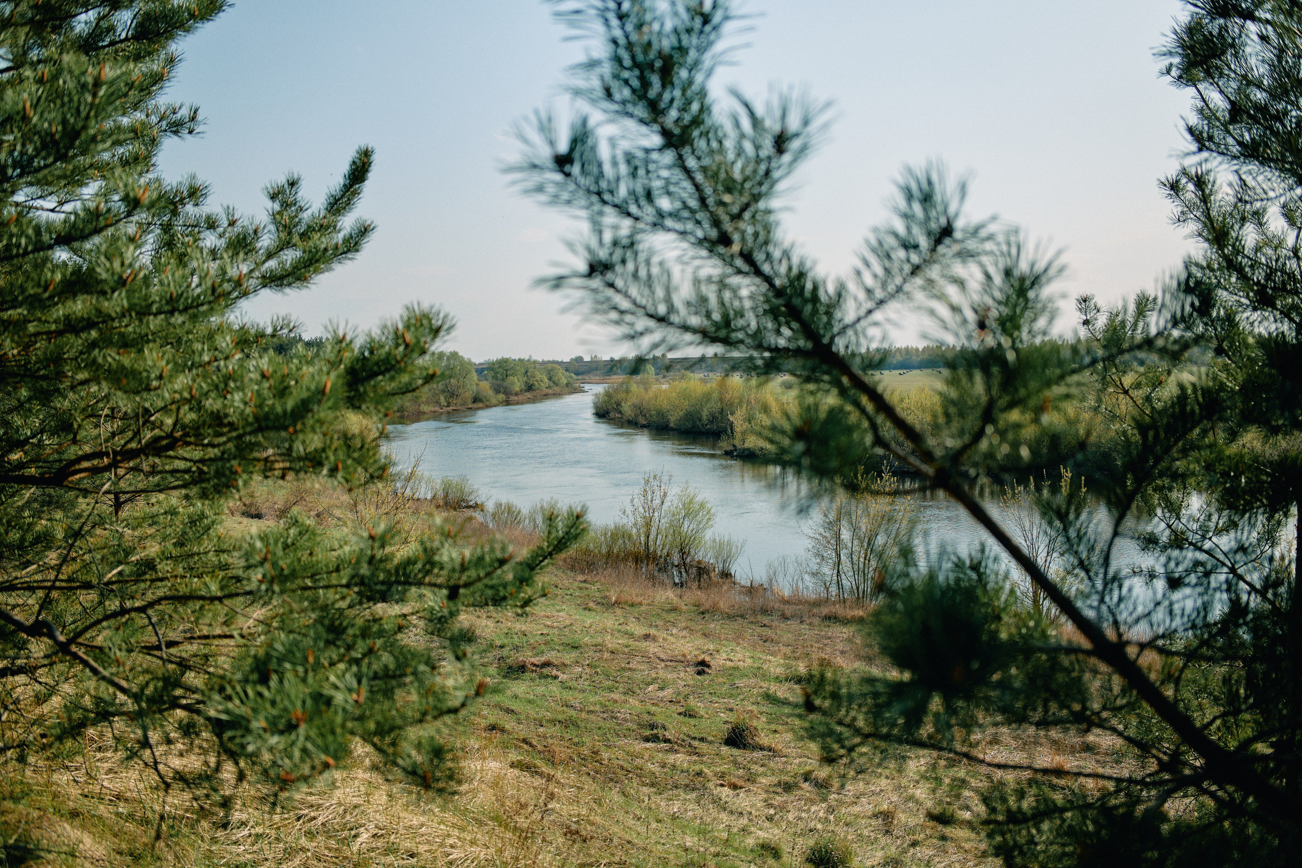Бутик-отель Поле летом. Профессиональный Фотограф во Владимире, в Москве и в Суздале — Полина Романычева